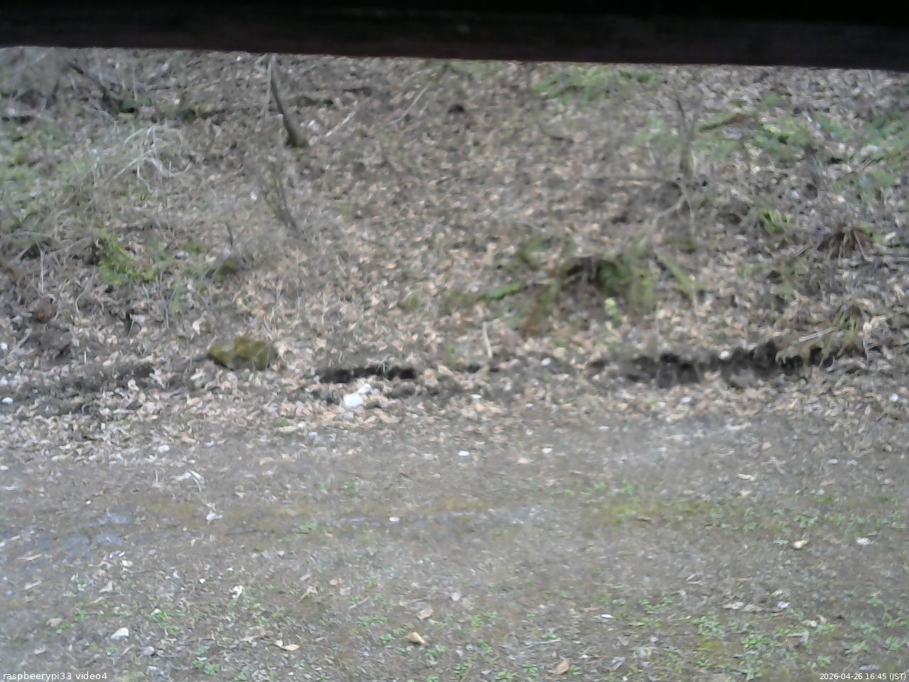 長野県菅平高原 ゆたか山荘 東側(坂下) 2026/04/26 16:45
