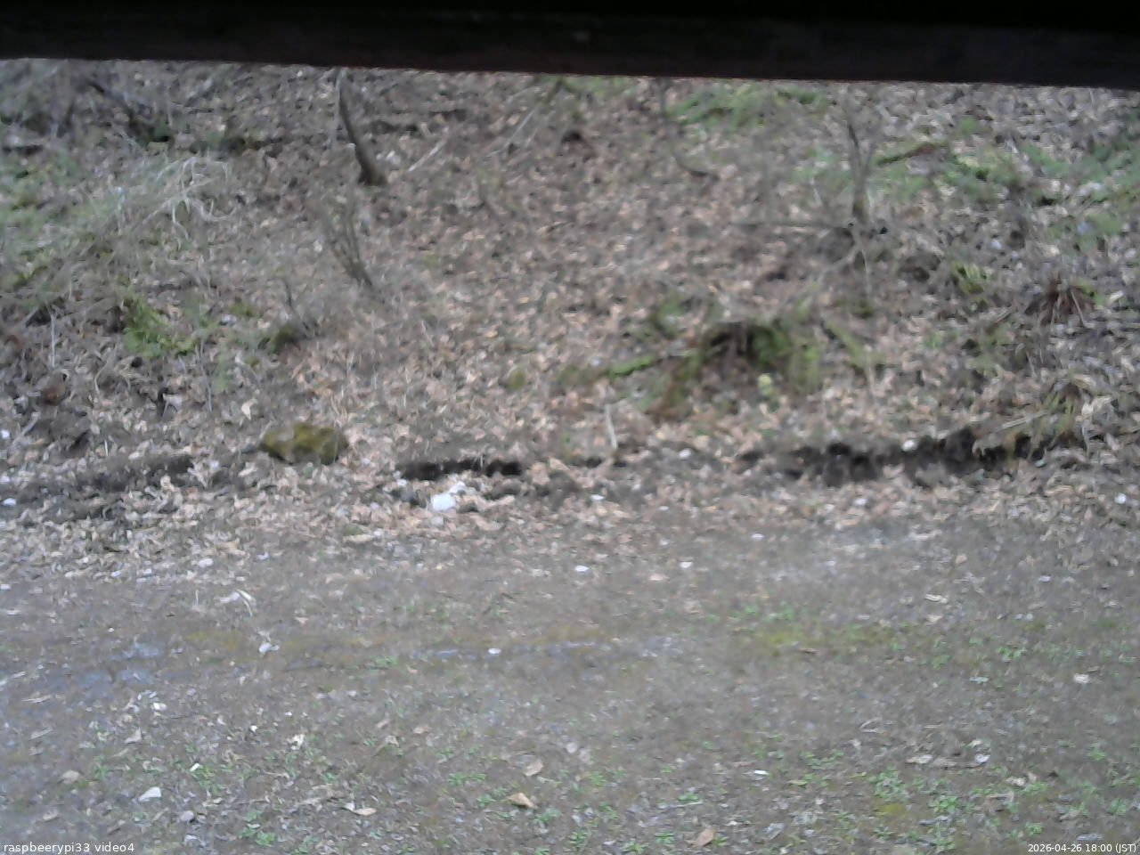 長野県菅平高原 ゆたか山荘 東側(坂下) 2026/04/26 18:00