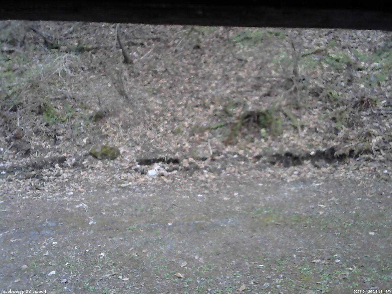 長野県菅平高原 ゆたか山荘 東側(坂下) 2026/04/26 18:15