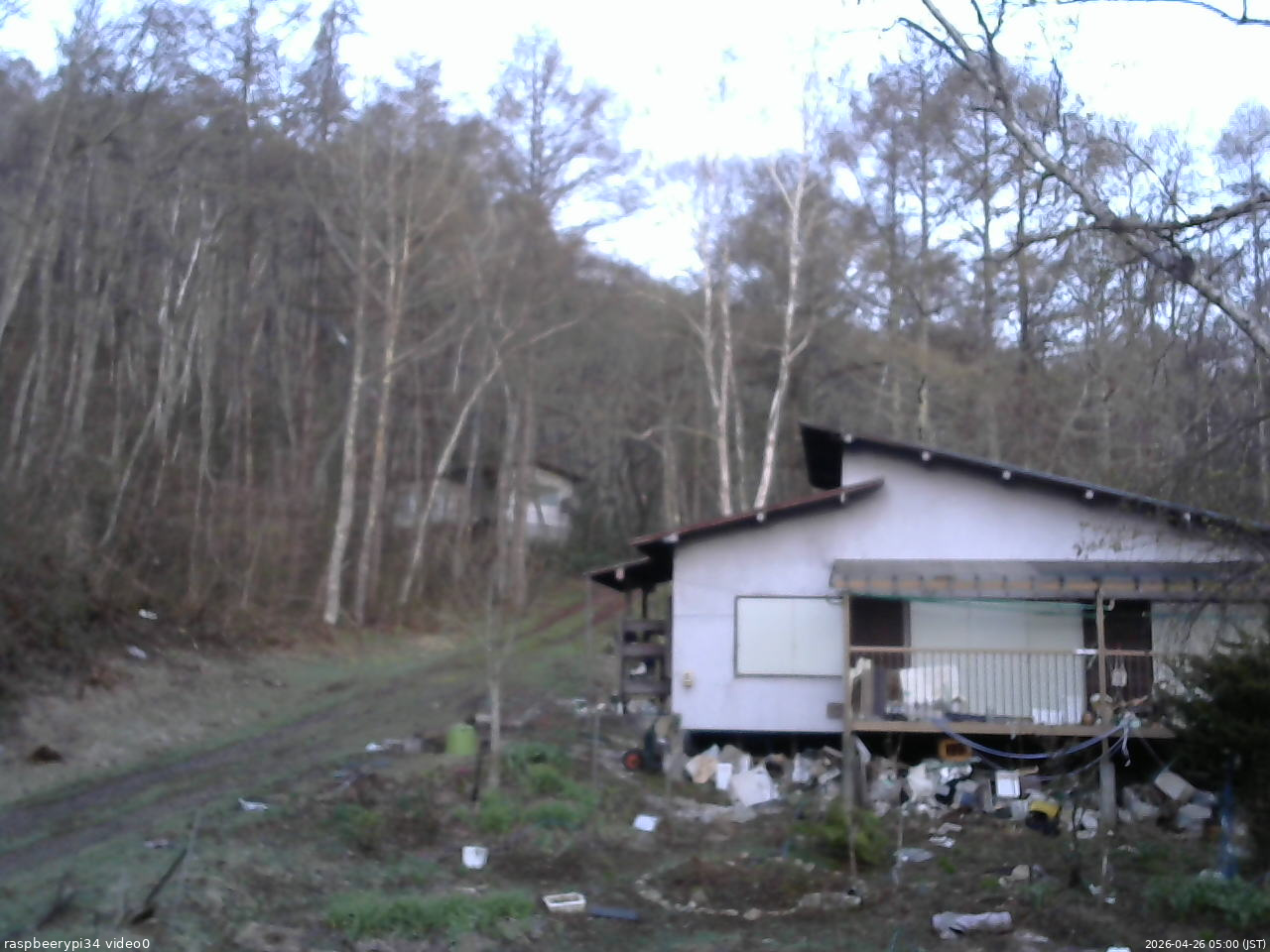長野県菅平高原 ゆたか山荘 西側(坂上) 2026/04/26 05:00