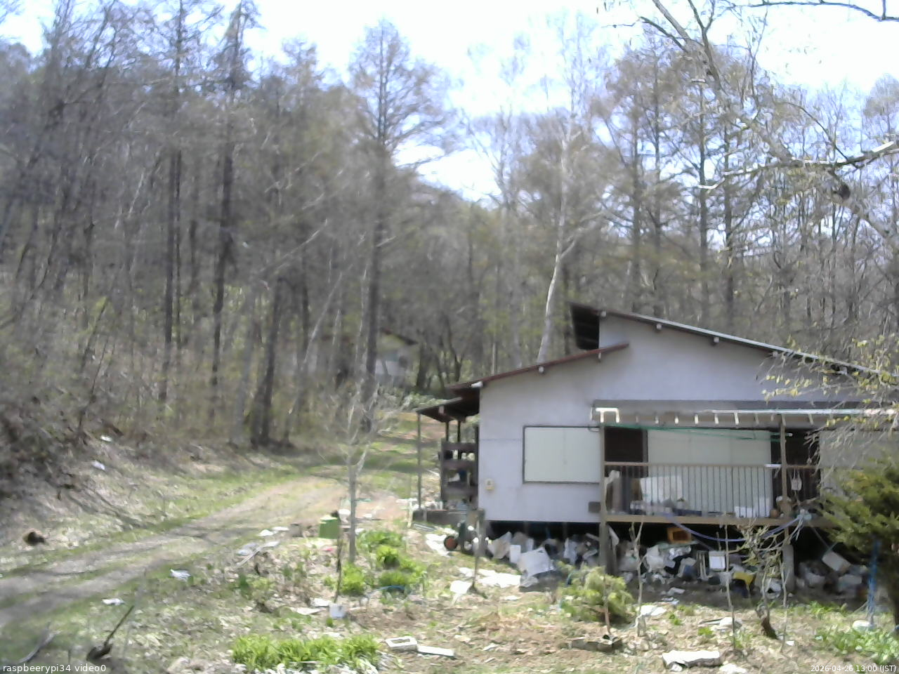 長野県菅平高原 ゆたか山荘 西側(坂上) 2026/04/26 13:00