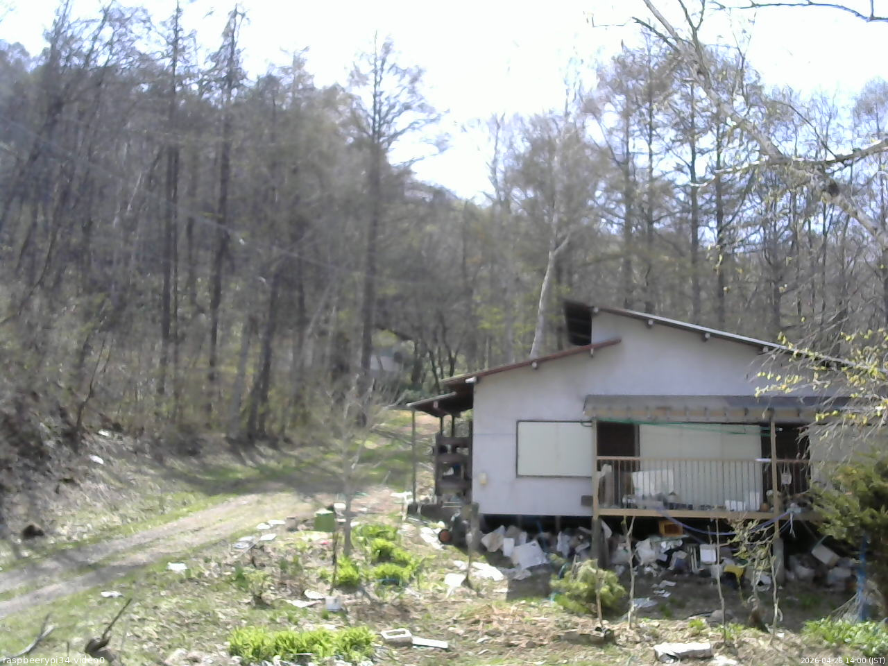 長野県菅平高原 ゆたか山荘 西側(坂上) 2026/04/26 14:00