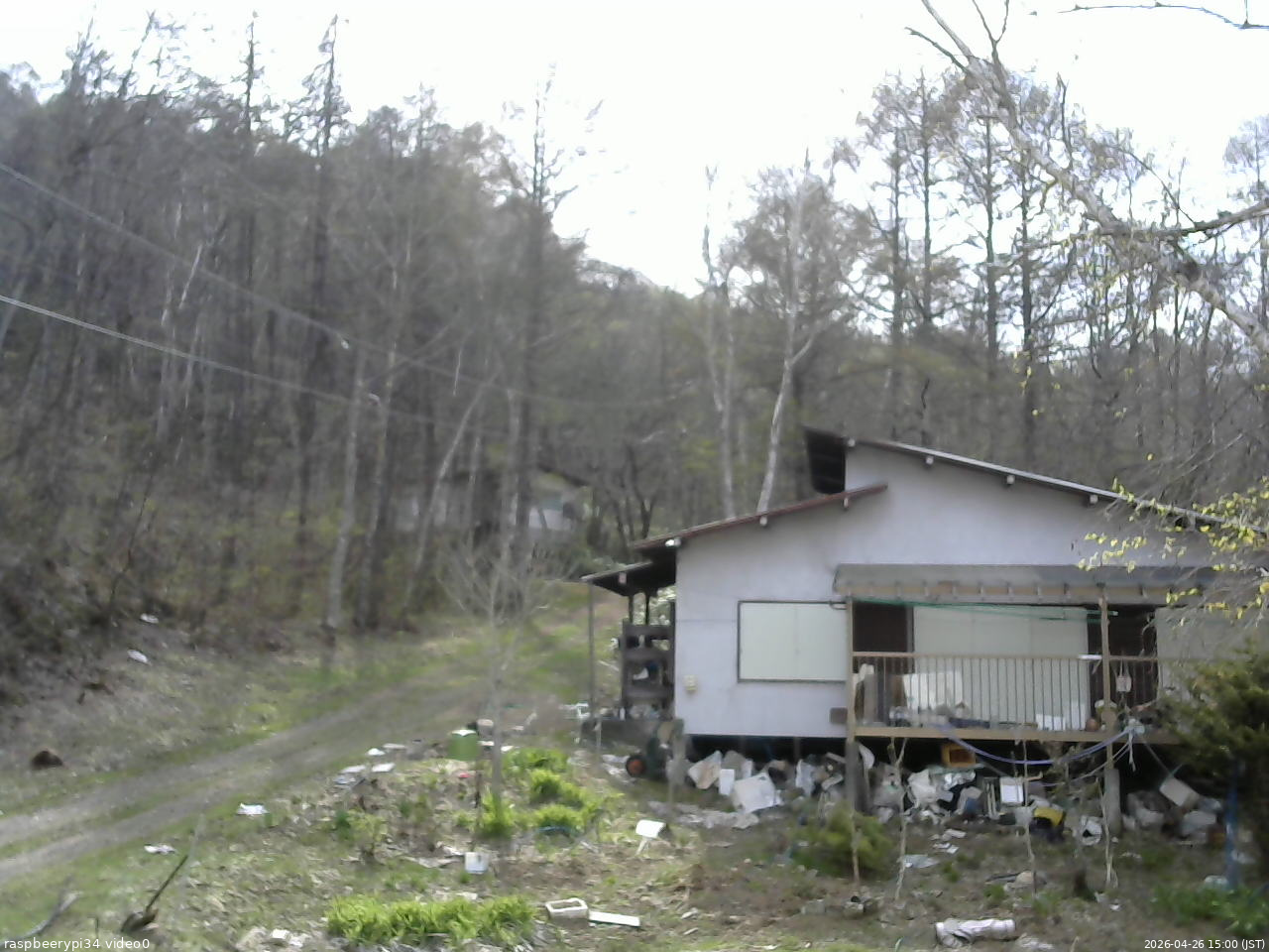 長野県菅平高原 ゆたか山荘 西側(坂上) 2026/04/26 15:00
