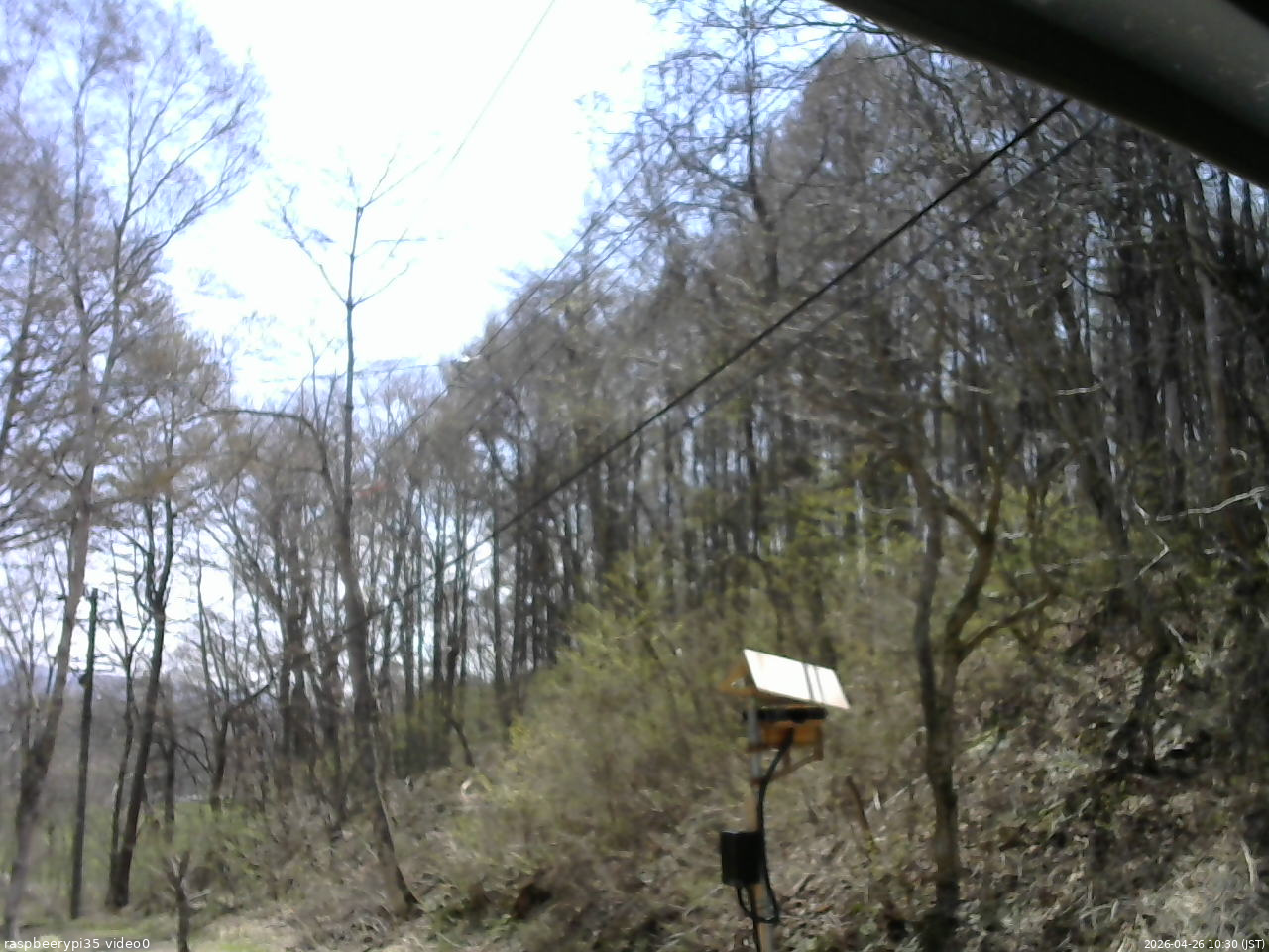長野県菅平高原 ゆたか山荘 温度計 2026/04/26 10:30