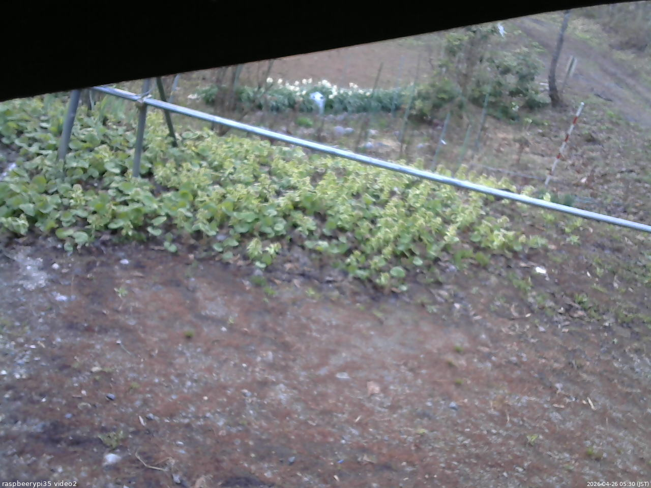 長野県菅平高原 ゆたか山荘 駐車場 2026/04/26 05:30