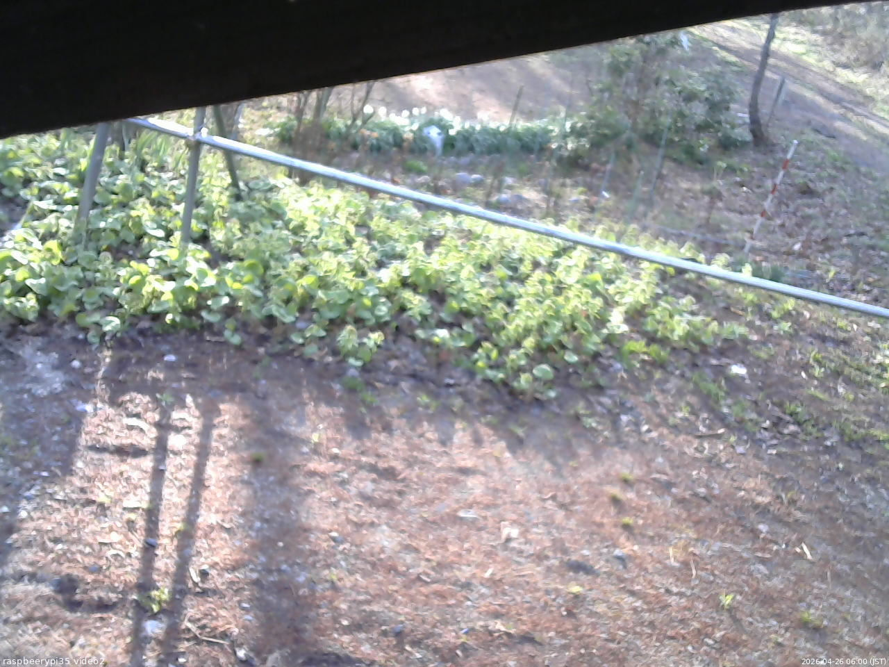 長野県菅平高原 ゆたか山荘 駐車場 2026/04/26 06:00