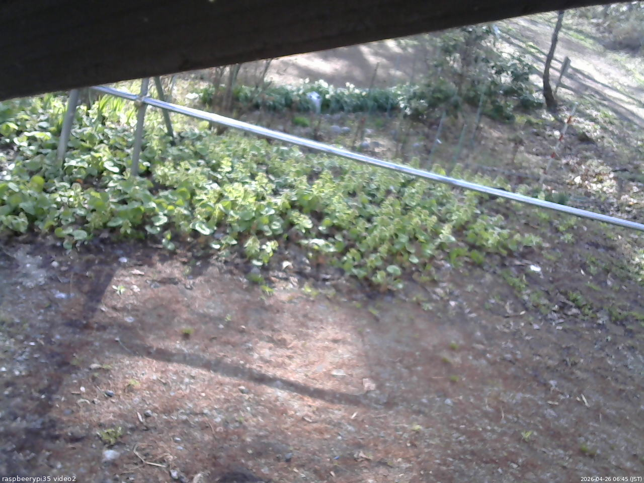 長野県菅平高原 ゆたか山荘 駐車場 2026/04/26 06:45