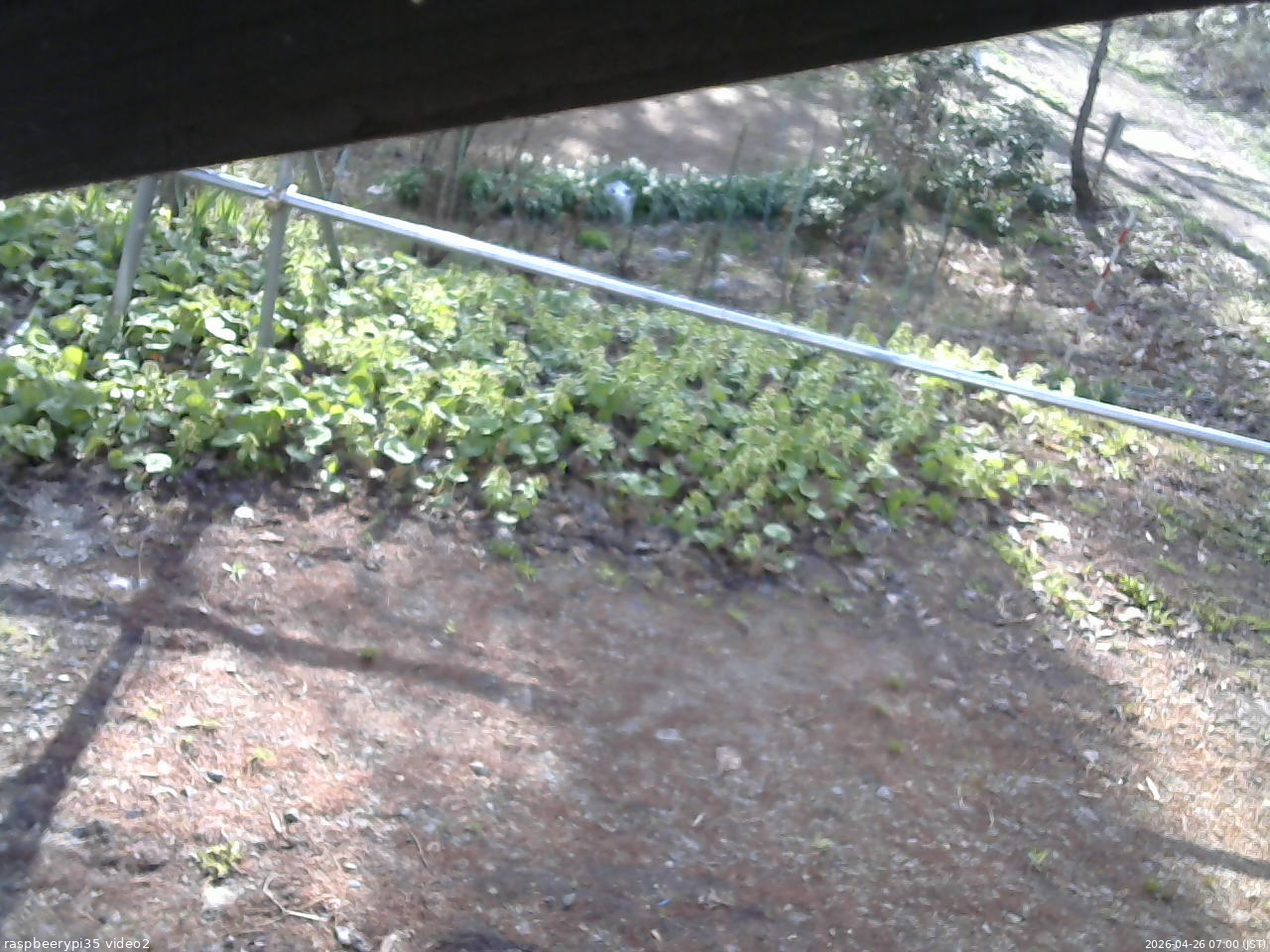 長野県菅平高原 ゆたか山荘 駐車場 2026/04/26 07:00