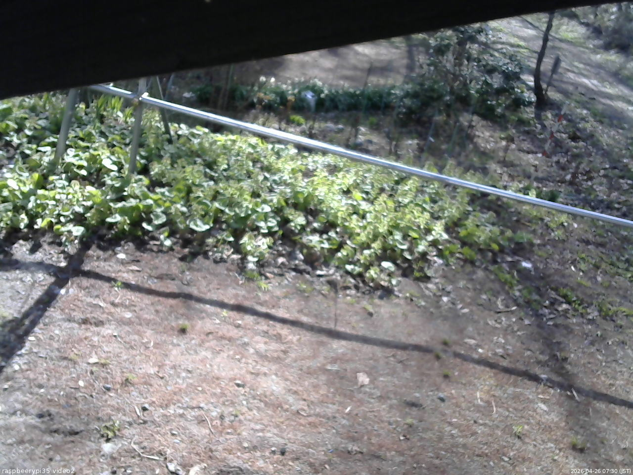 長野県菅平高原 ゆたか山荘 駐車場 2026/04/26 07:30