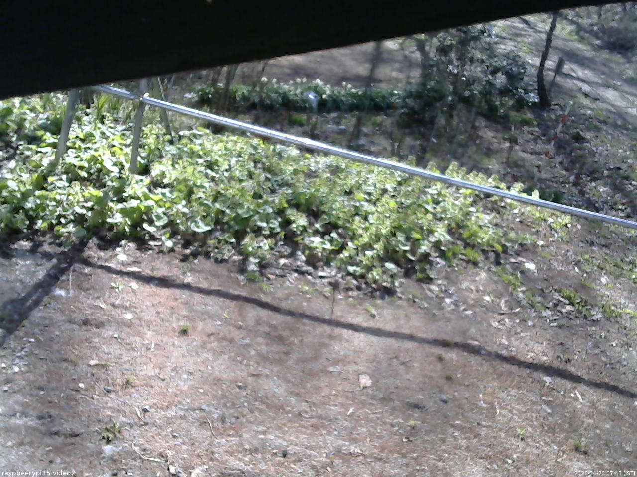 長野県菅平高原 ゆたか山荘 駐車場 2026/04/26 07:45
