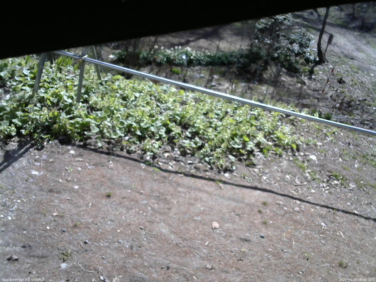 長野県菅平高原 ゆたか山荘 駐車場 2026/04/26 08:30