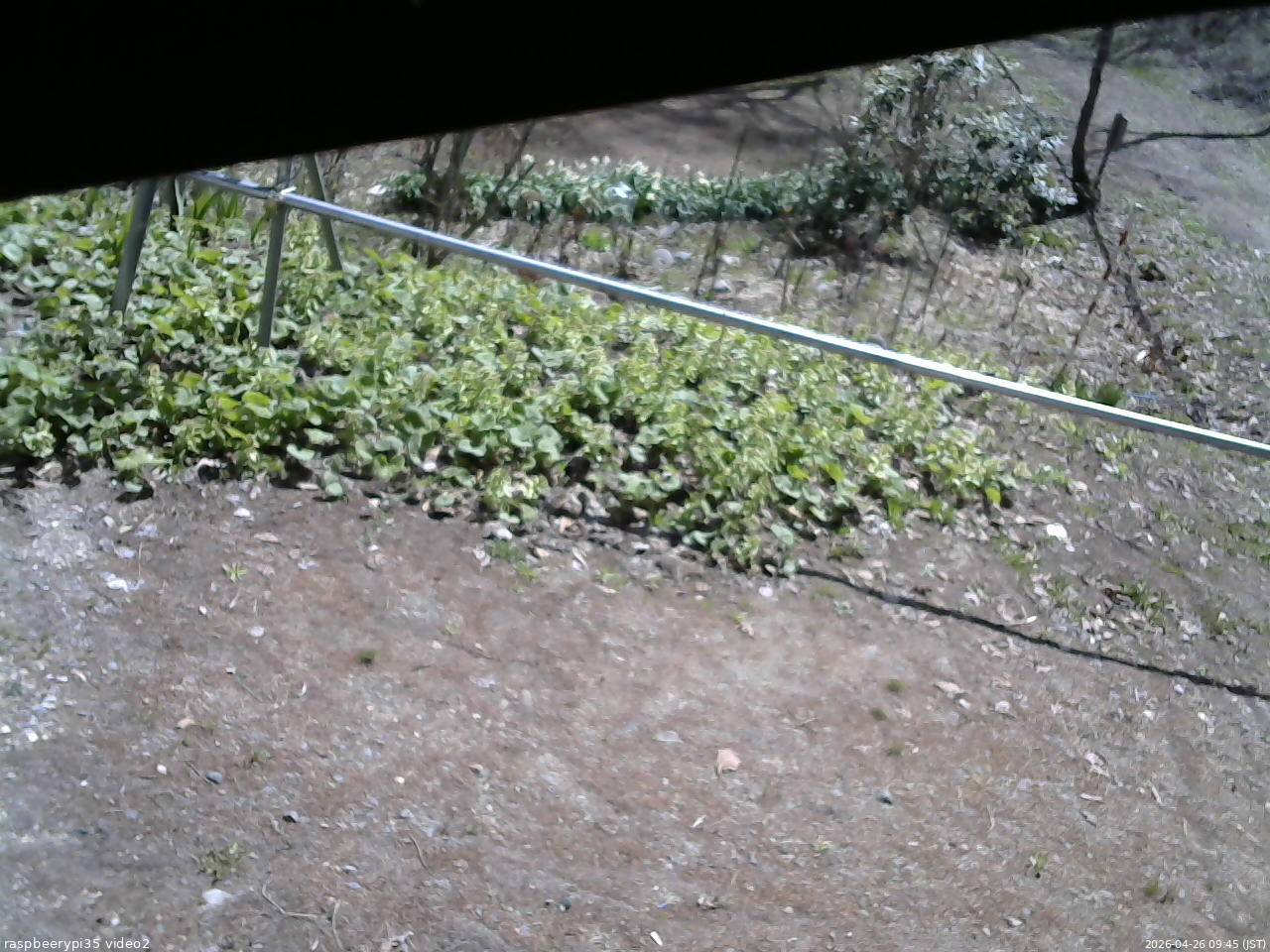 長野県菅平高原 ゆたか山荘 駐車場 2026/04/26 09:45