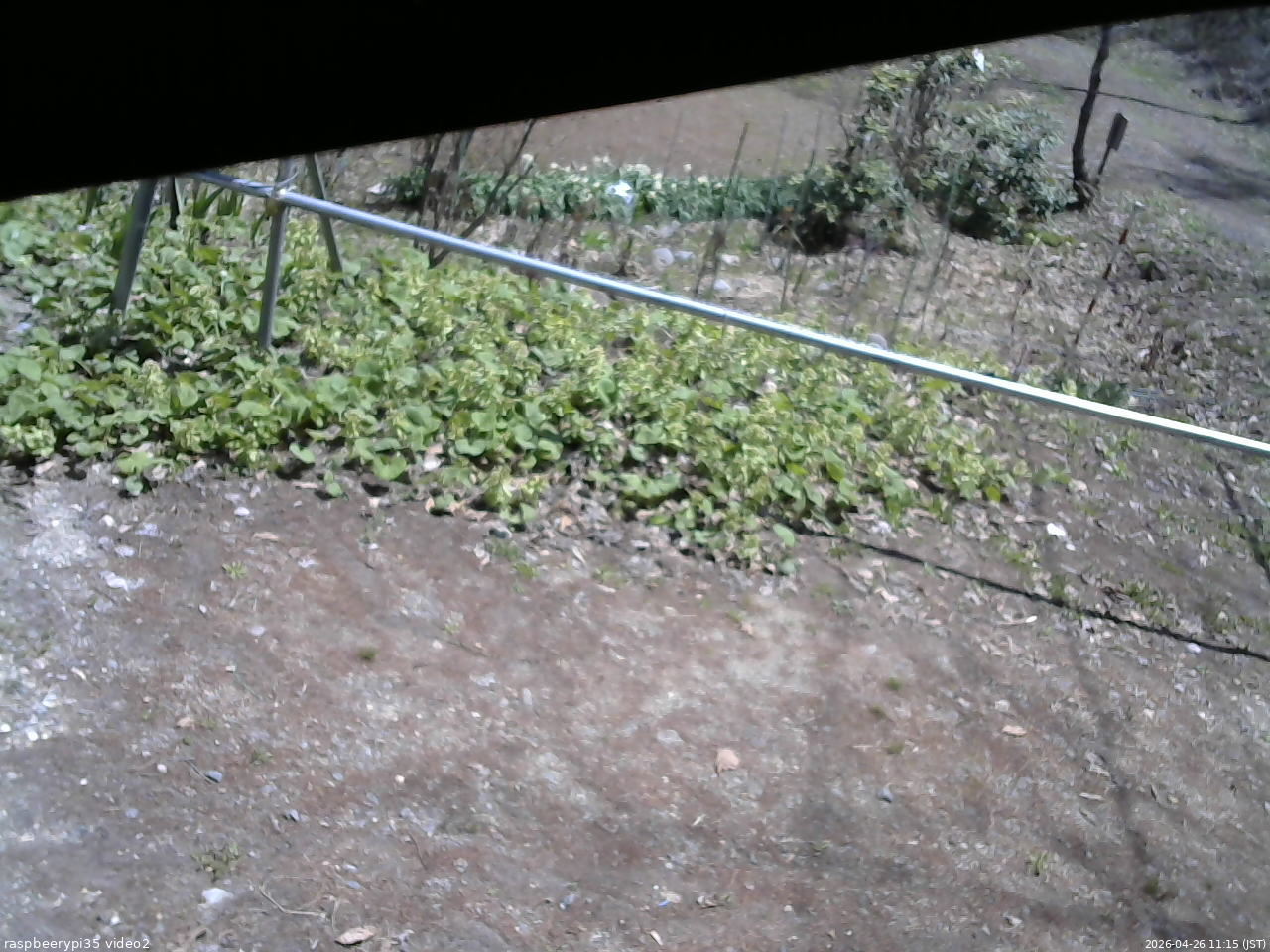 長野県菅平高原 ゆたか山荘 駐車場 2026/04/26 11:15