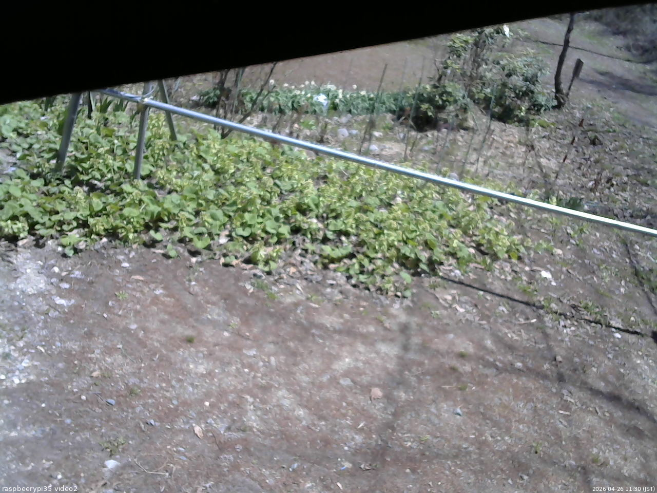 長野県菅平高原 ゆたか山荘 駐車場 2026/04/26 11:30