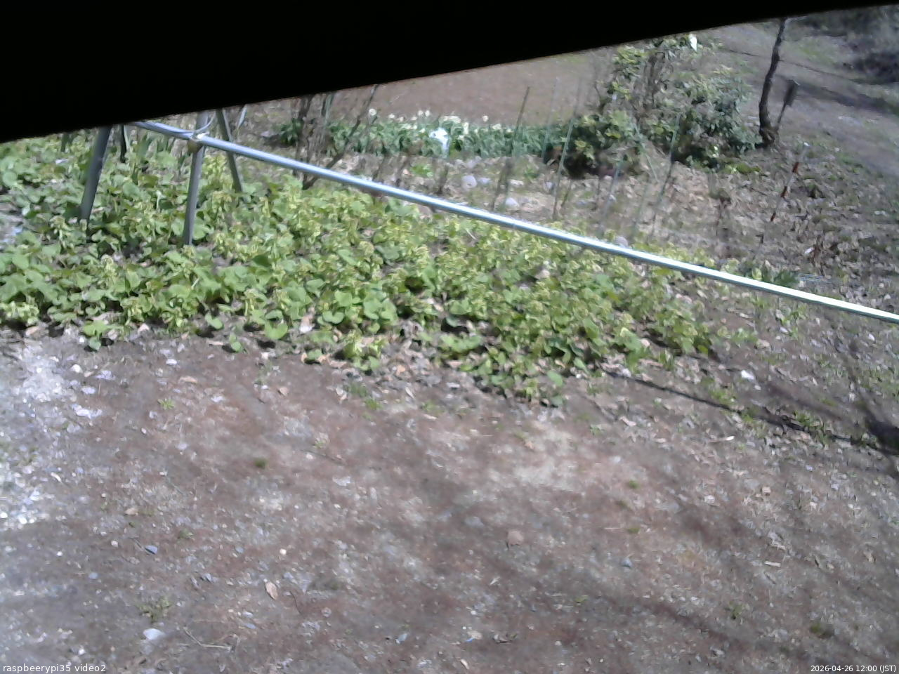長野県菅平高原 ゆたか山荘 駐車場 2026/04/26 12:00