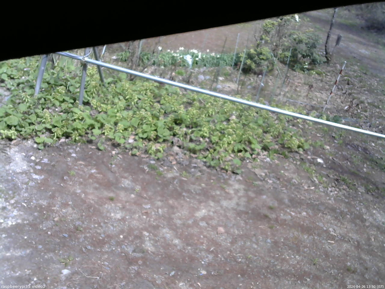 長野県菅平高原 ゆたか山荘 駐車場 2026/04/26 13:30