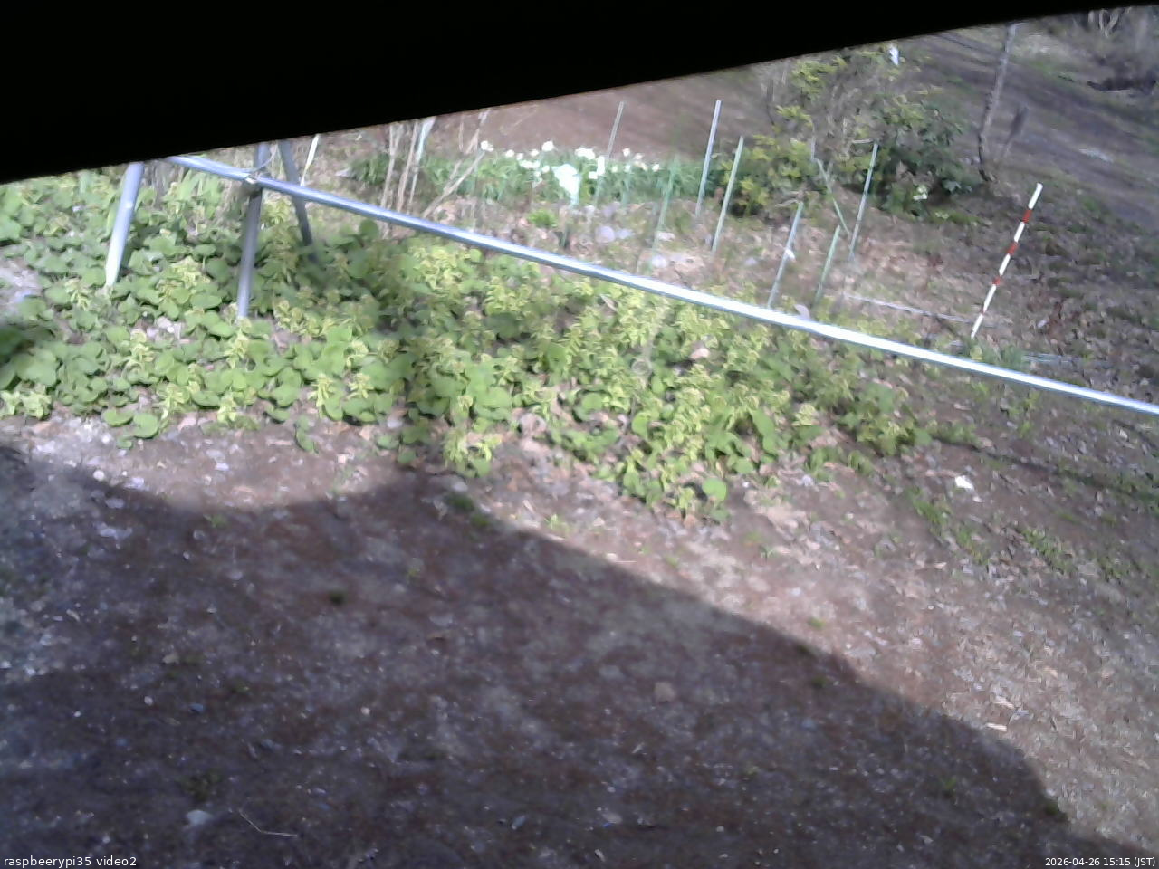 長野県菅平高原 ゆたか山荘 駐車場 2026/04/26 15:15