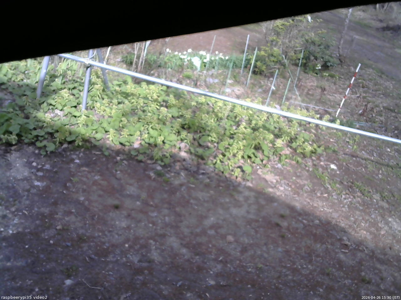 長野県菅平高原 ゆたか山荘 駐車場 2026/04/26 15:30