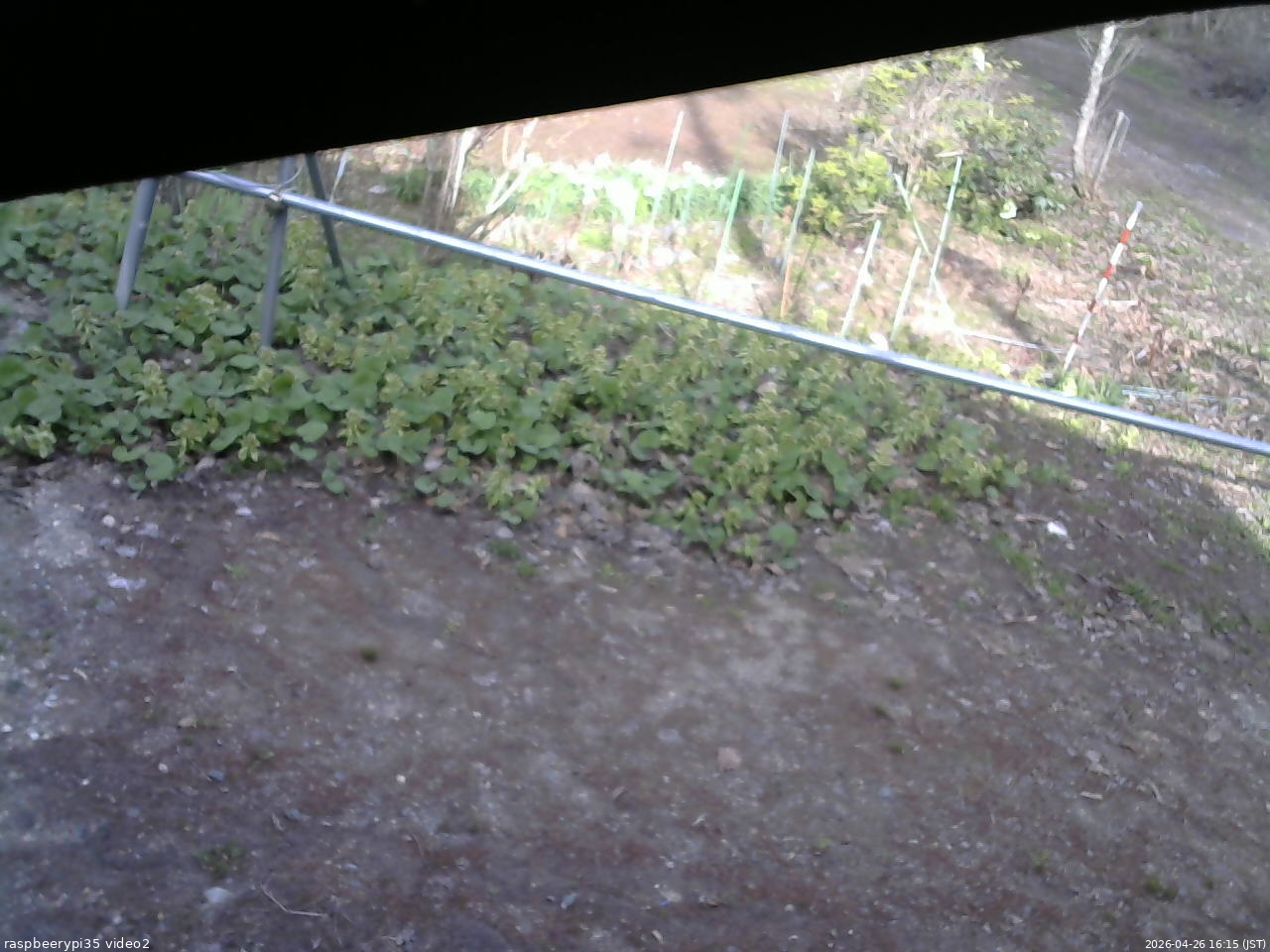 長野県菅平高原 ゆたか山荘 駐車場 2026/04/26 16:15