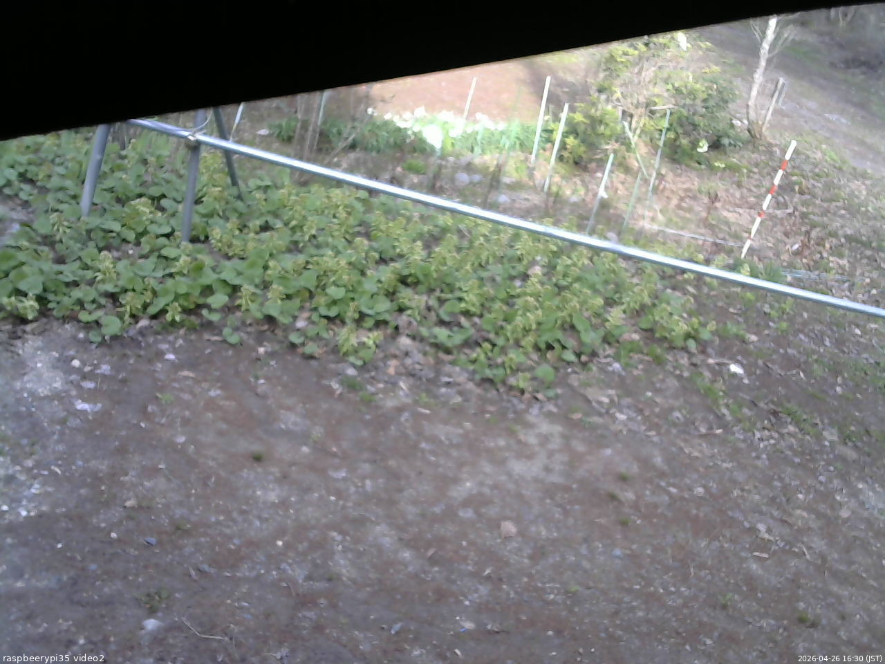 長野県菅平高原 ゆたか山荘 駐車場 2026/04/26 16:30