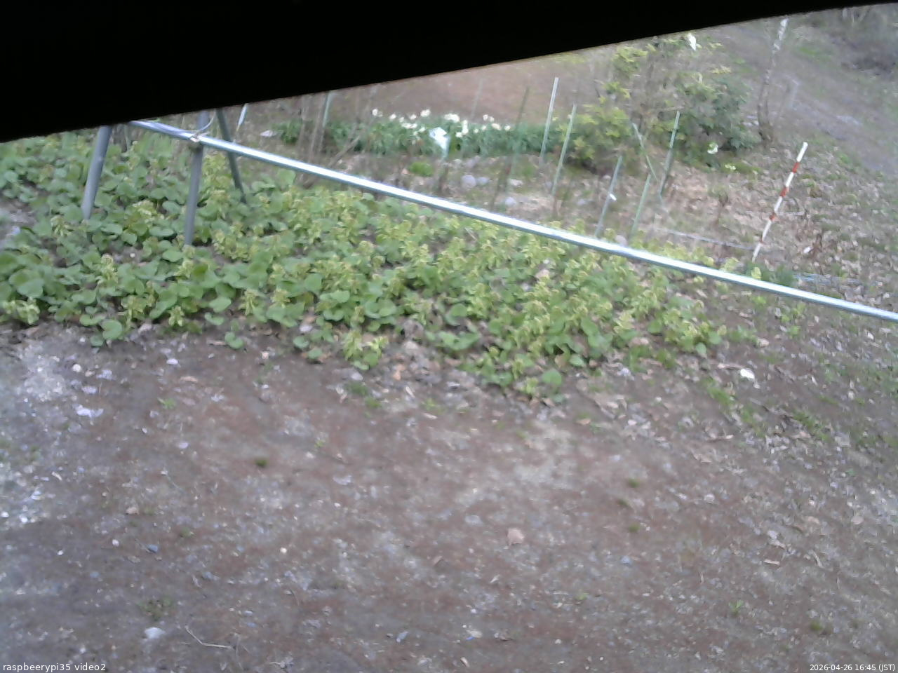 長野県菅平高原 ゆたか山荘 駐車場 2026/04/26 16:45