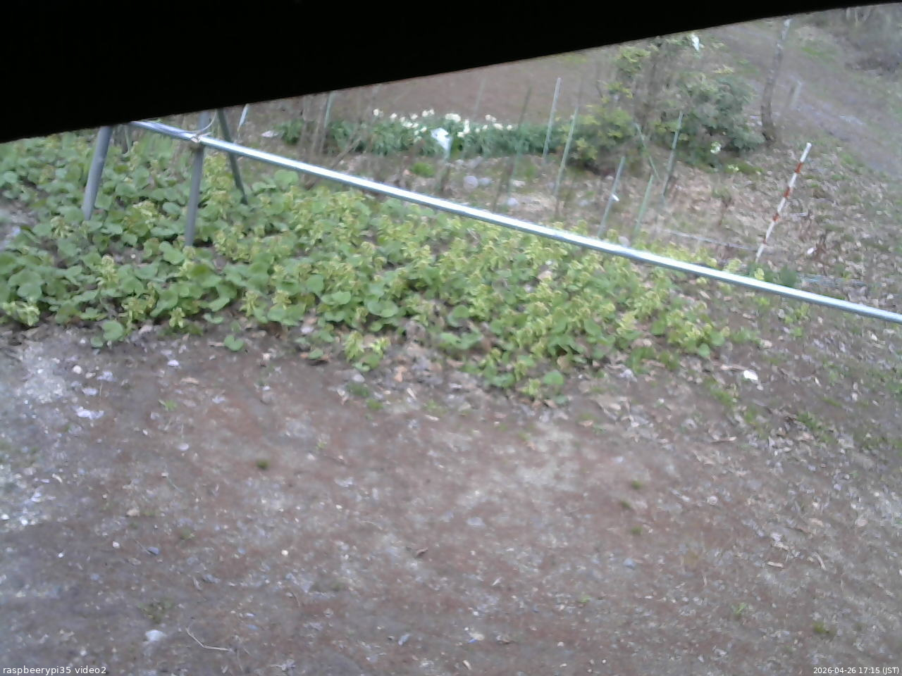 長野県菅平高原 ゆたか山荘 駐車場 2026/04/26 17:15