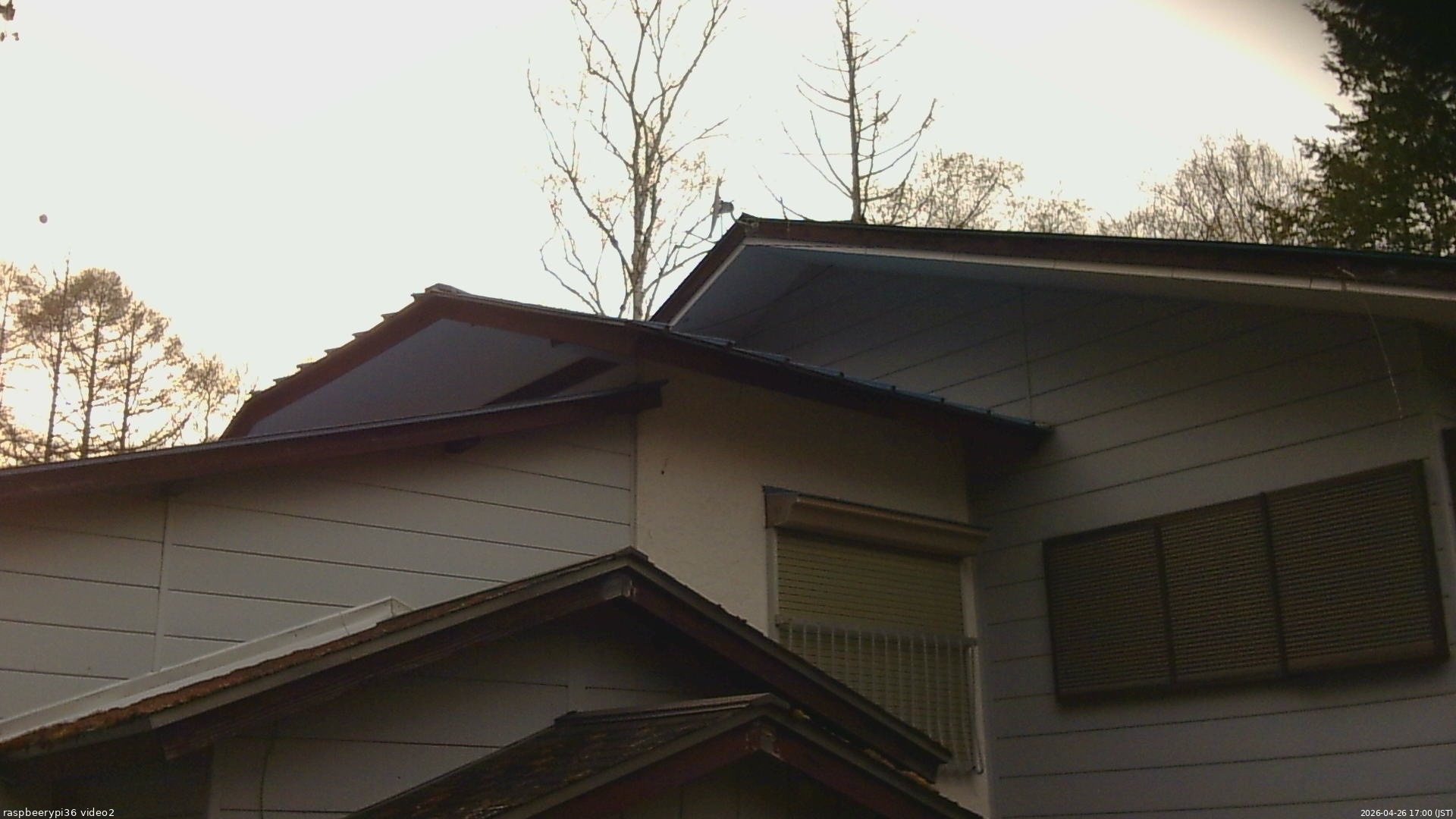 長野県菅平高原 ゆたか山荘 駐車場奥 2026/04/26 17:00