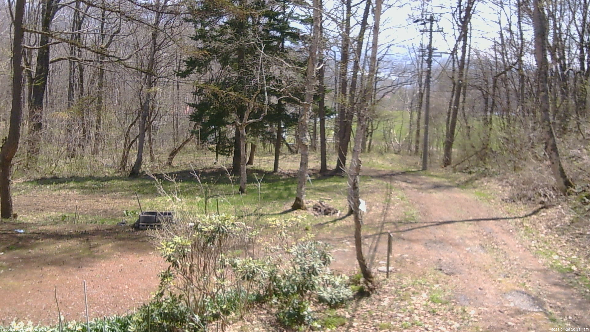 長野県菅平高原 ゆたか山荘 坂上 2026/04/26 10:15