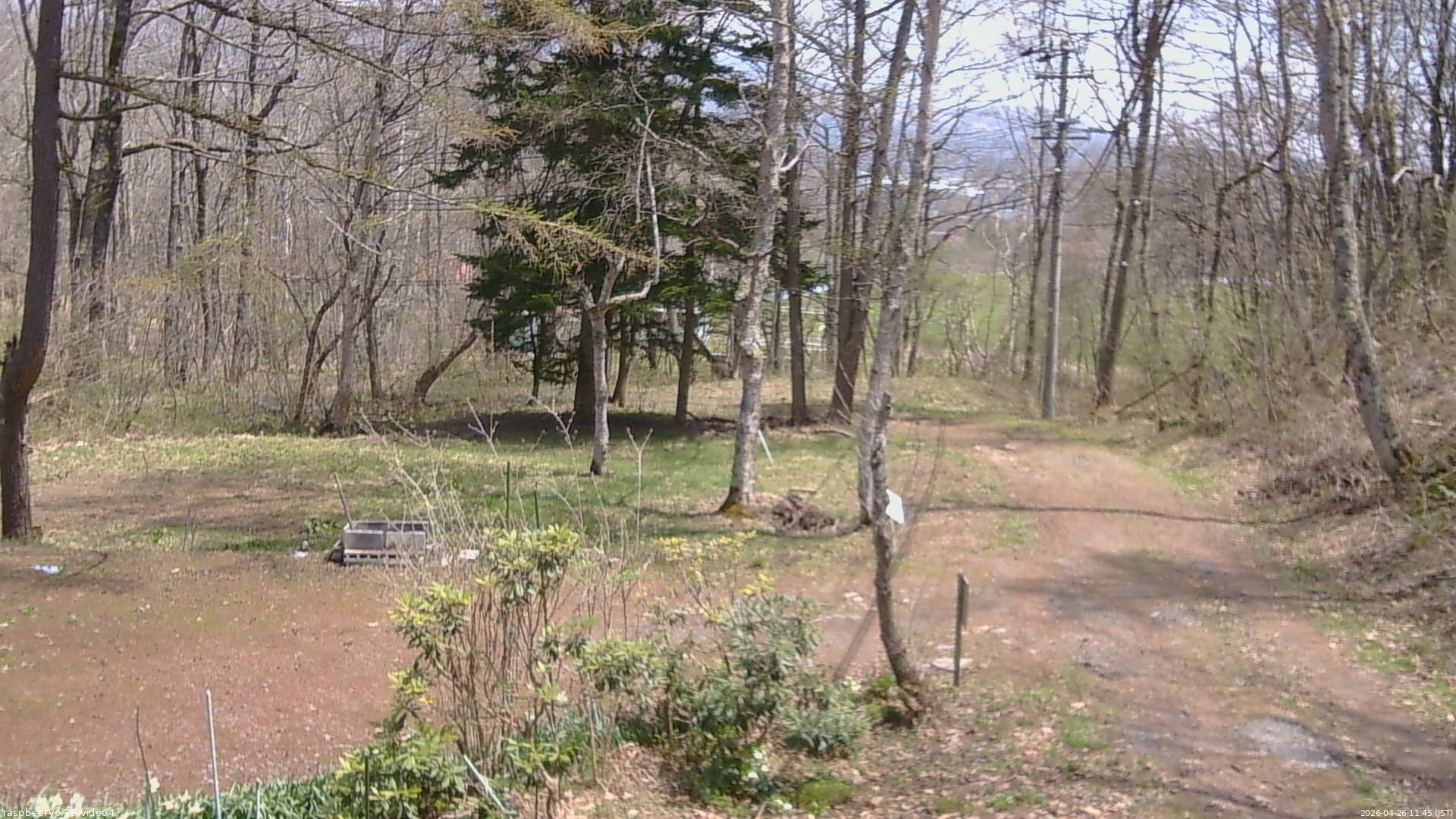 長野県菅平高原 ゆたか山荘 坂上 2026/04/26 11:45