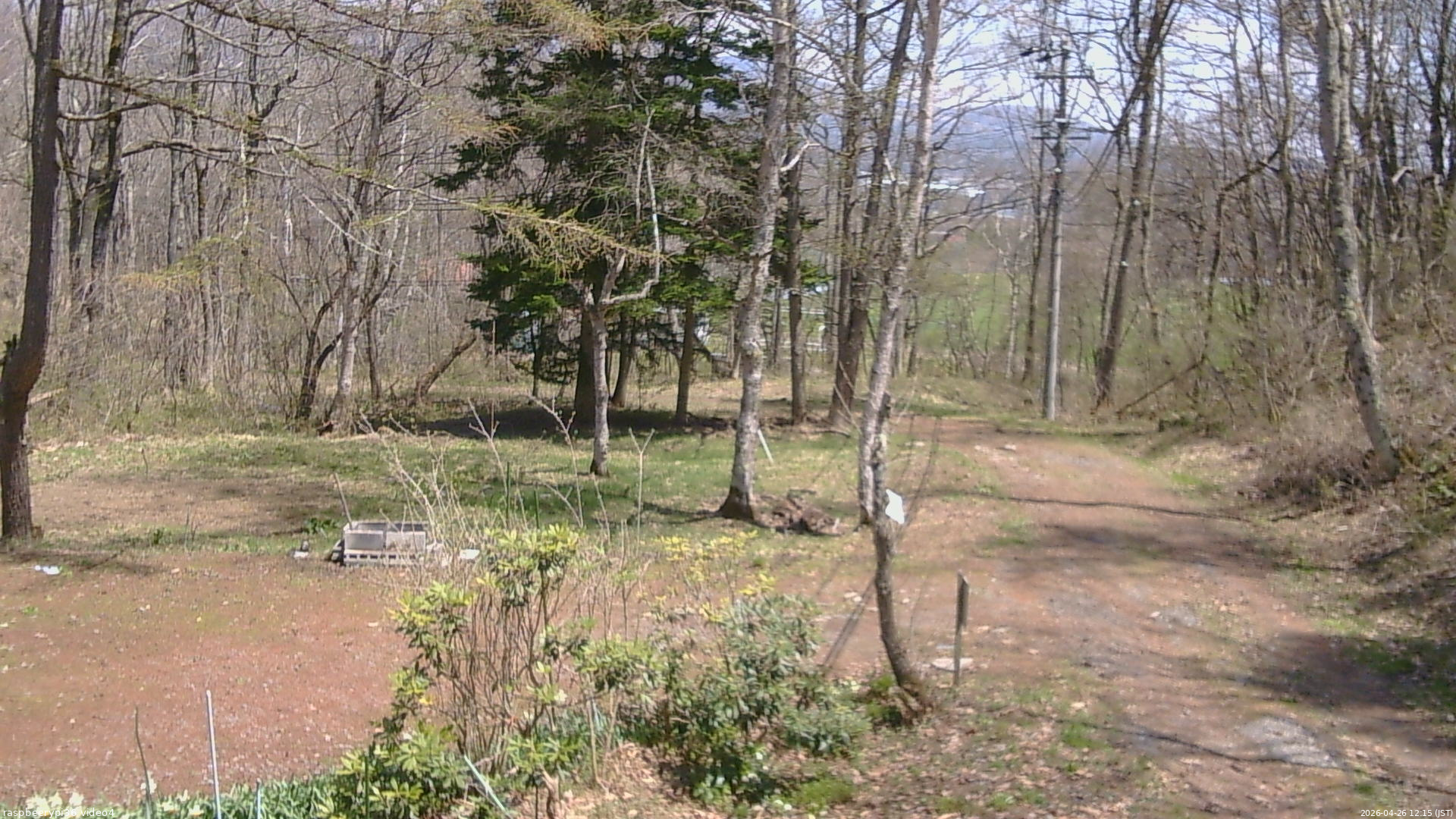 長野県菅平高原 ゆたか山荘 坂上 2026/04/26 12:15