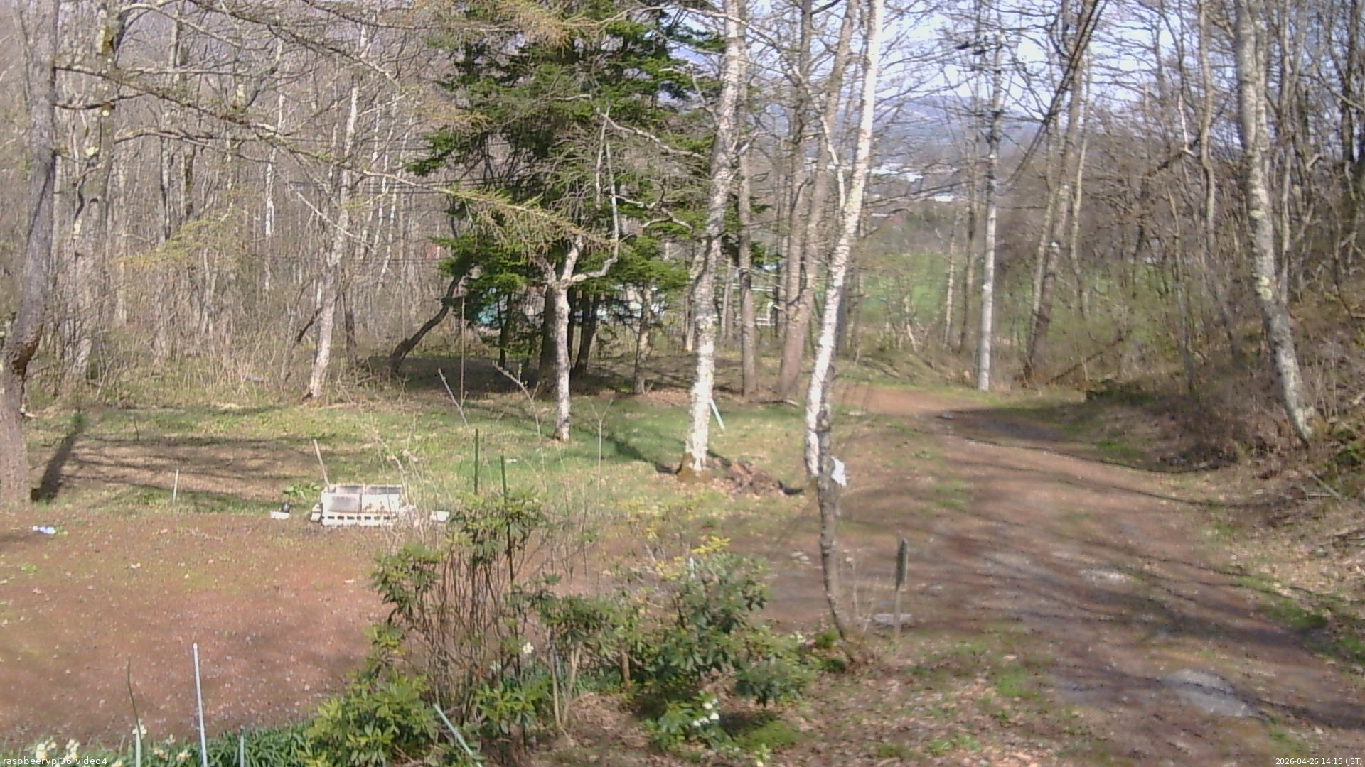 長野県菅平高原 ゆたか山荘 坂上 2026/04/26 14:15