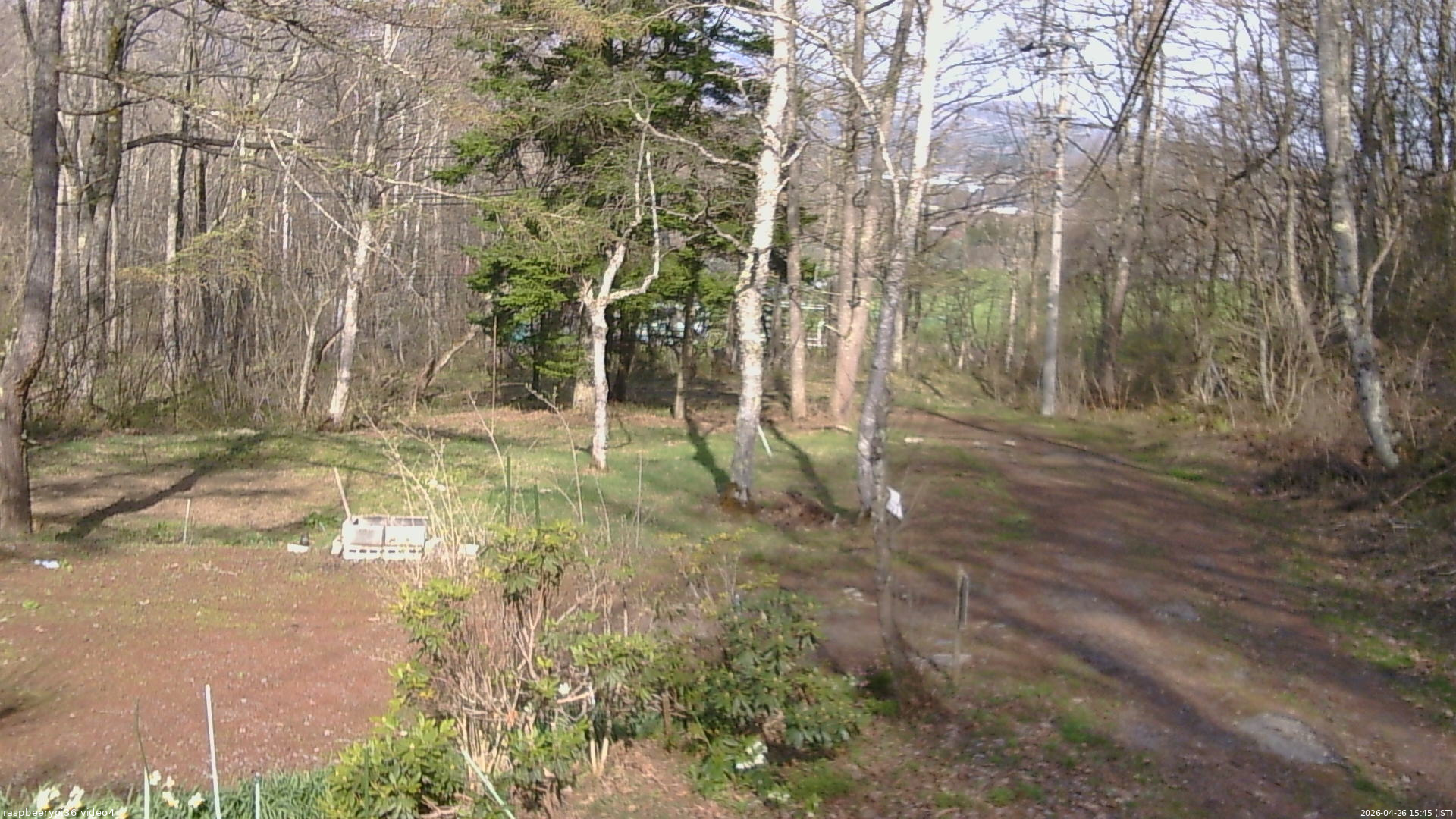 長野県菅平高原 ゆたか山荘 坂上 2026/04/26 15:45