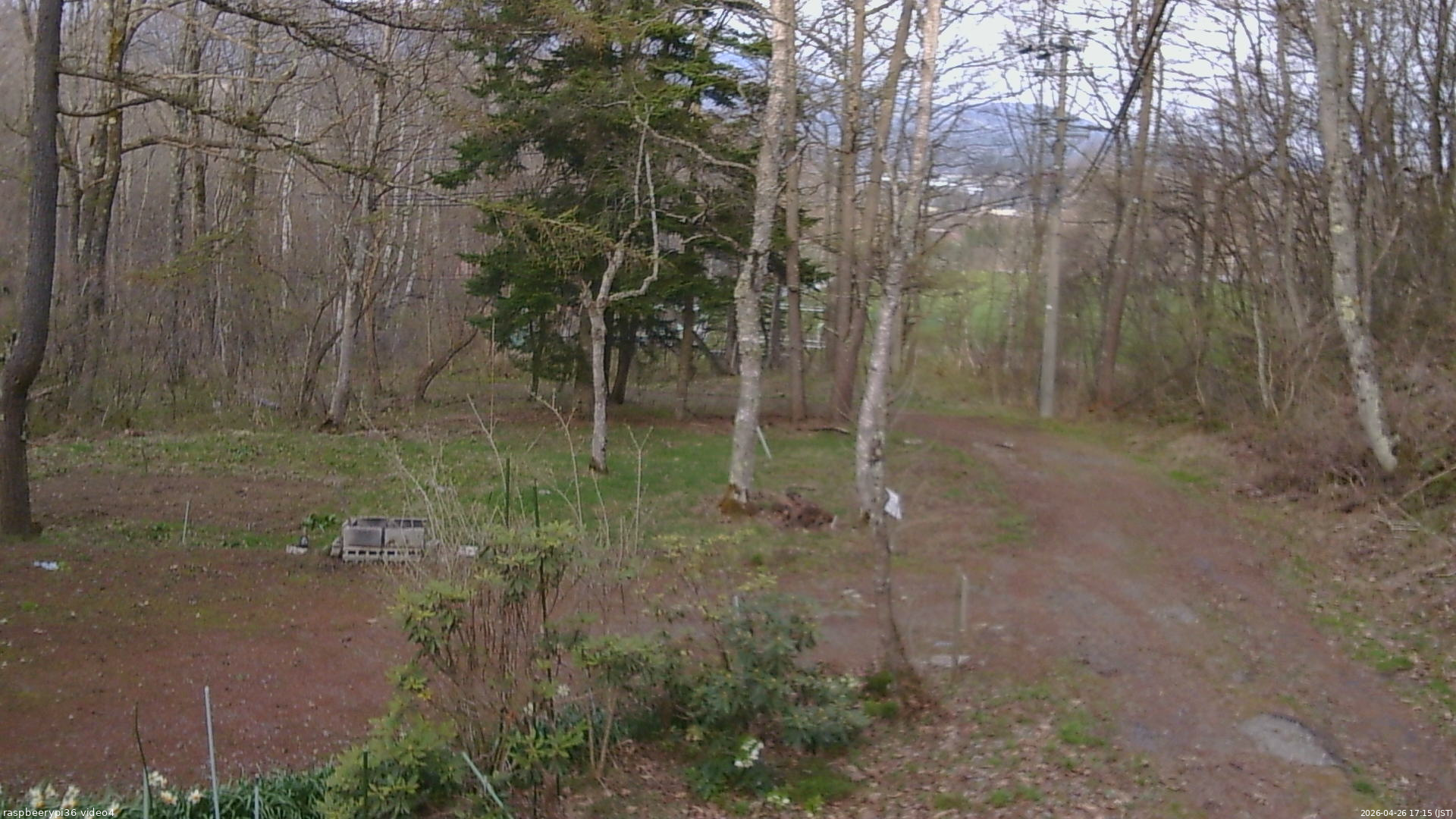 長野県菅平高原 ゆたか山荘 坂上 2026/04/26 17:15