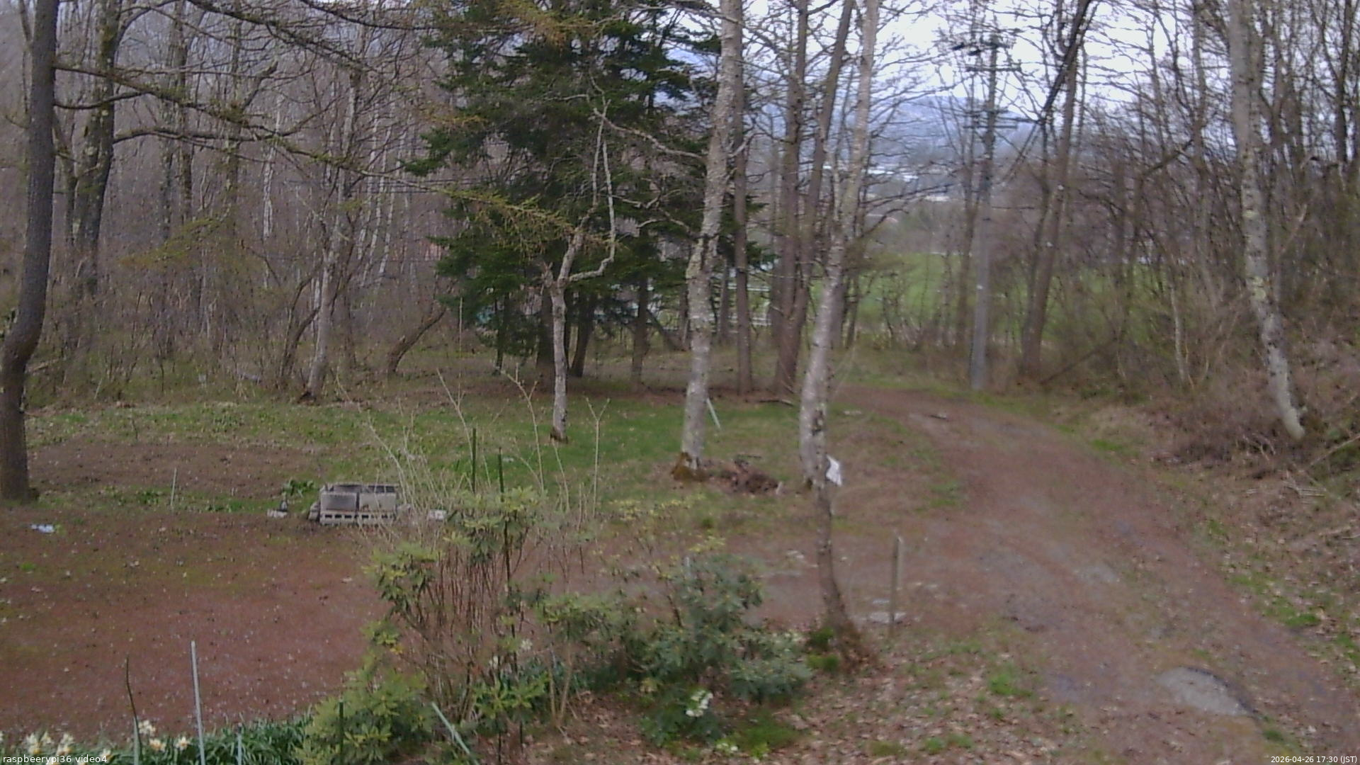 長野県菅平高原 ゆたか山荘 坂上 2026/04/26 17:30