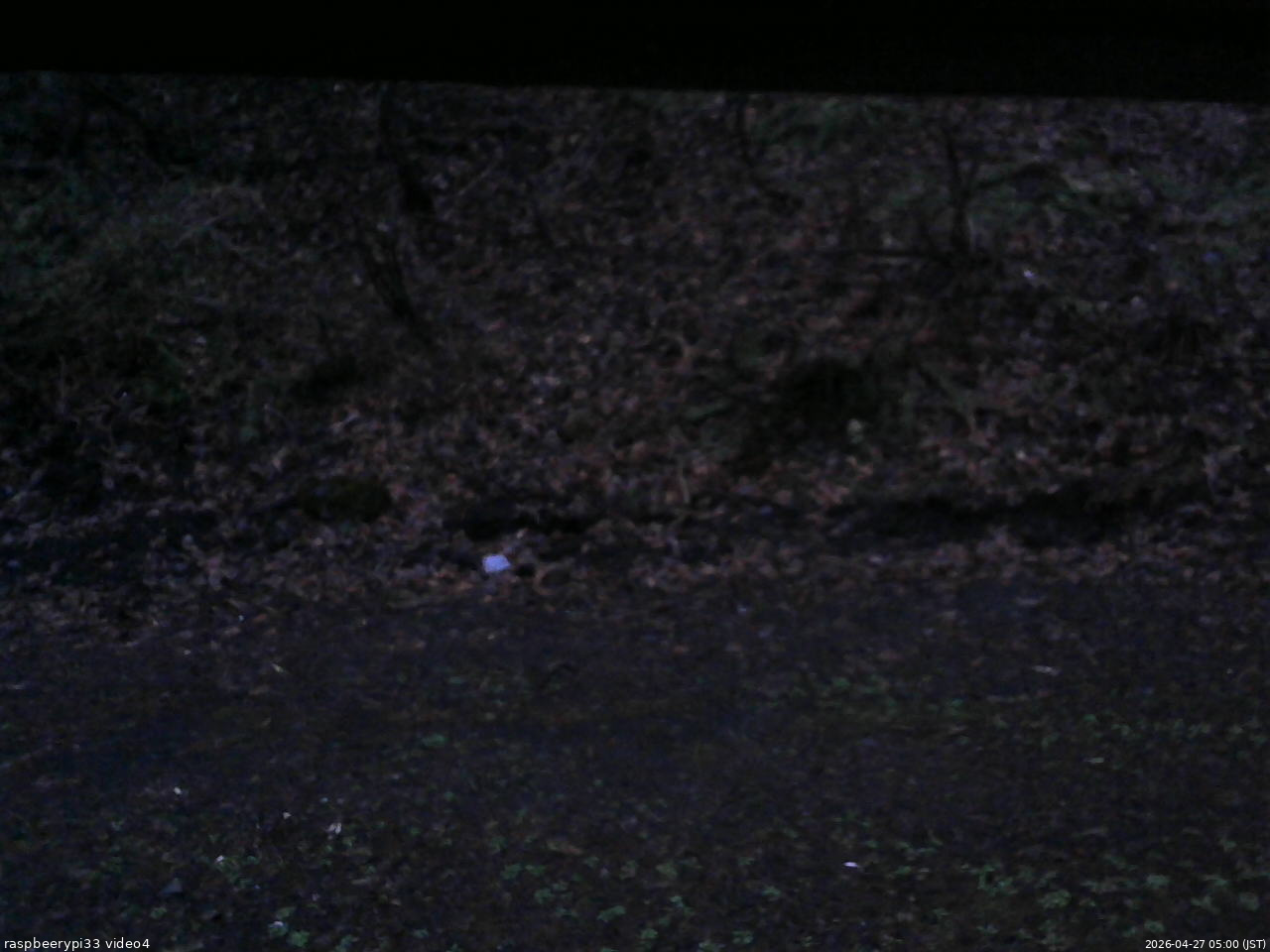 長野県菅平高原 ゆたか山荘 東側(坂下) 2026/04/27 05:00