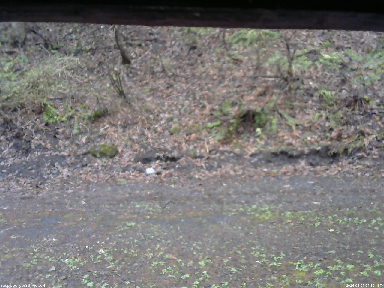 長野県菅平高原 ゆたか山荘 東側(坂下) 2026/04/27 07:30