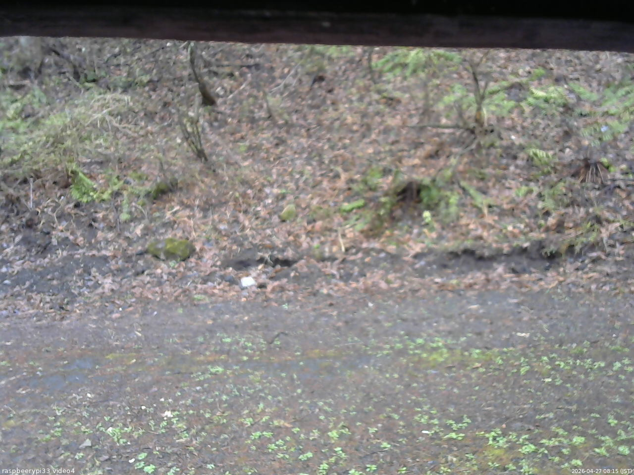 長野県菅平高原 ゆたか山荘 東側(坂下) 2026/04/27 08:15