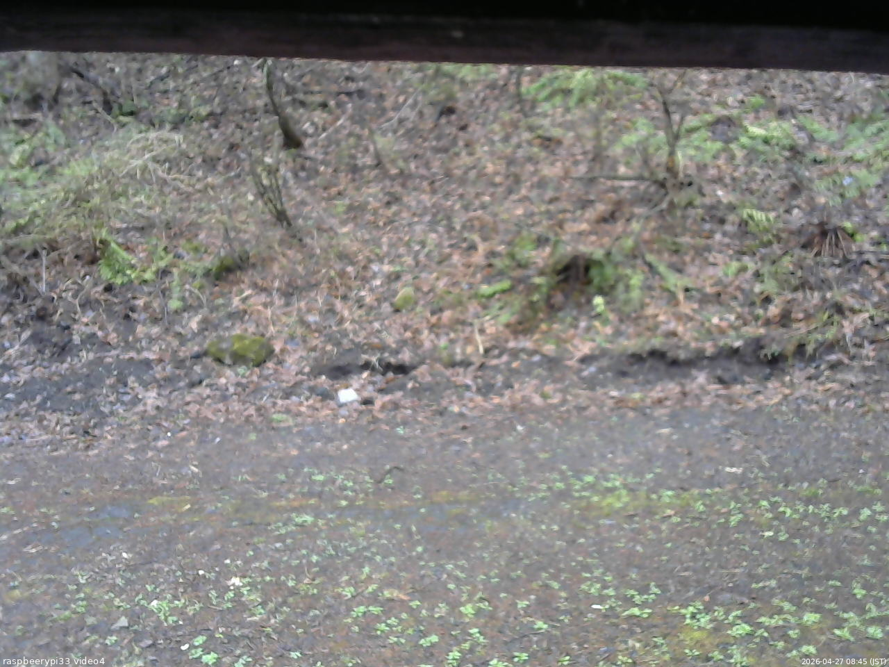長野県菅平高原 ゆたか山荘 東側(坂下) 2026/04/27 08:45