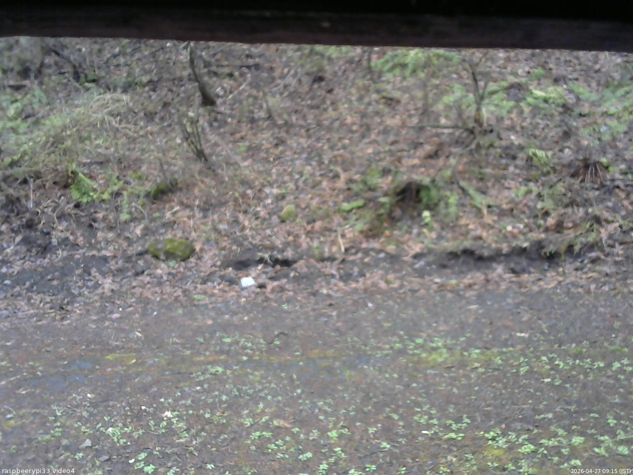 長野県菅平高原 ゆたか山荘 東側(坂下) 2026/04/27 09:15