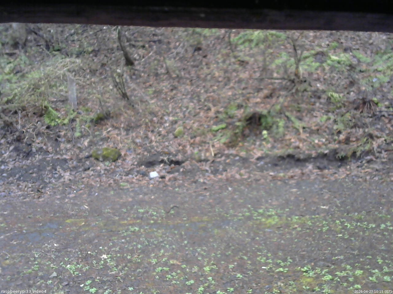 長野県菅平高原 ゆたか山荘 東側(坂下) 2026/04/27 10:15