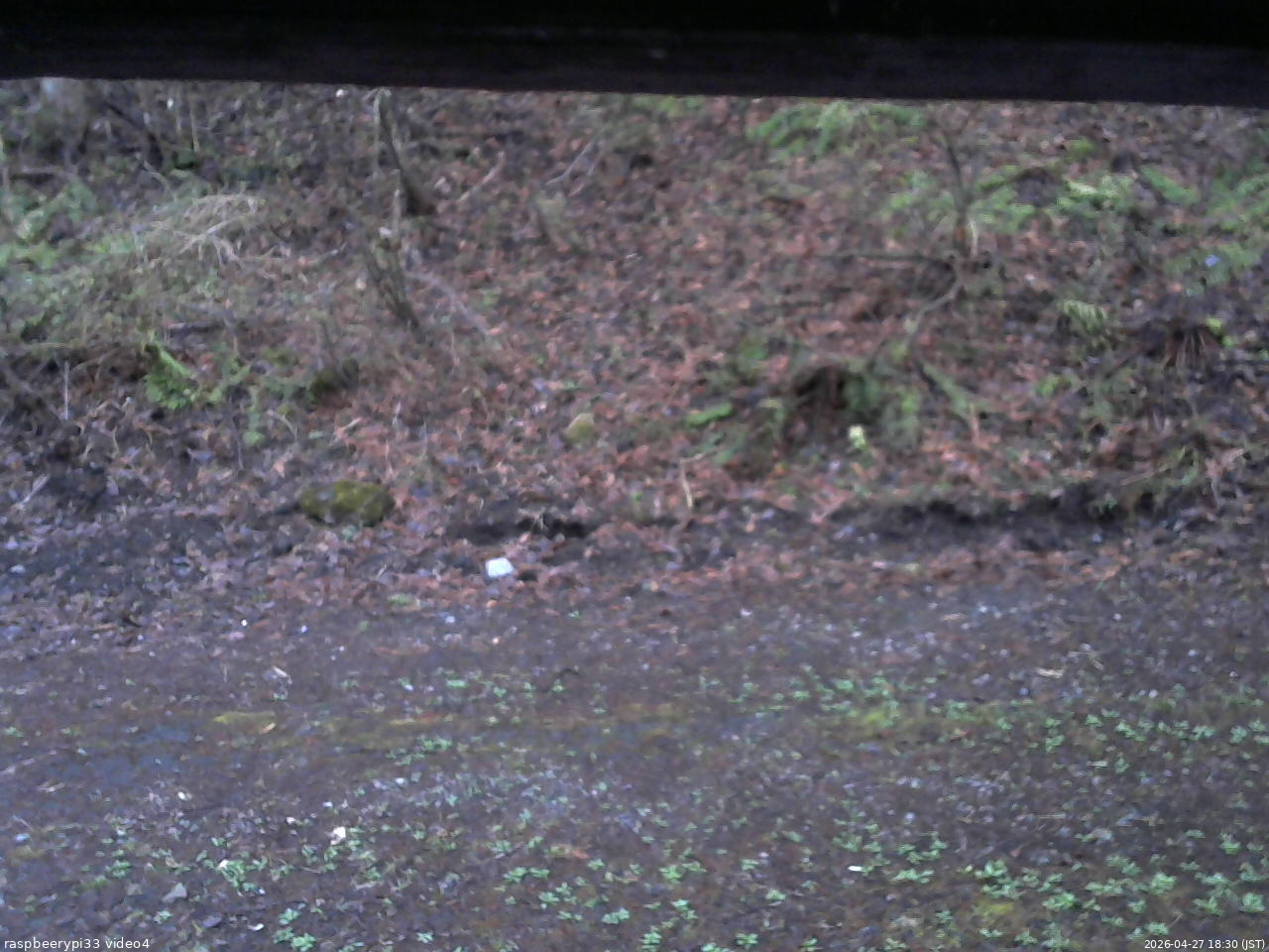 長野県菅平高原 ゆたか山荘 東側(坂下) 2026/04/27 18:30