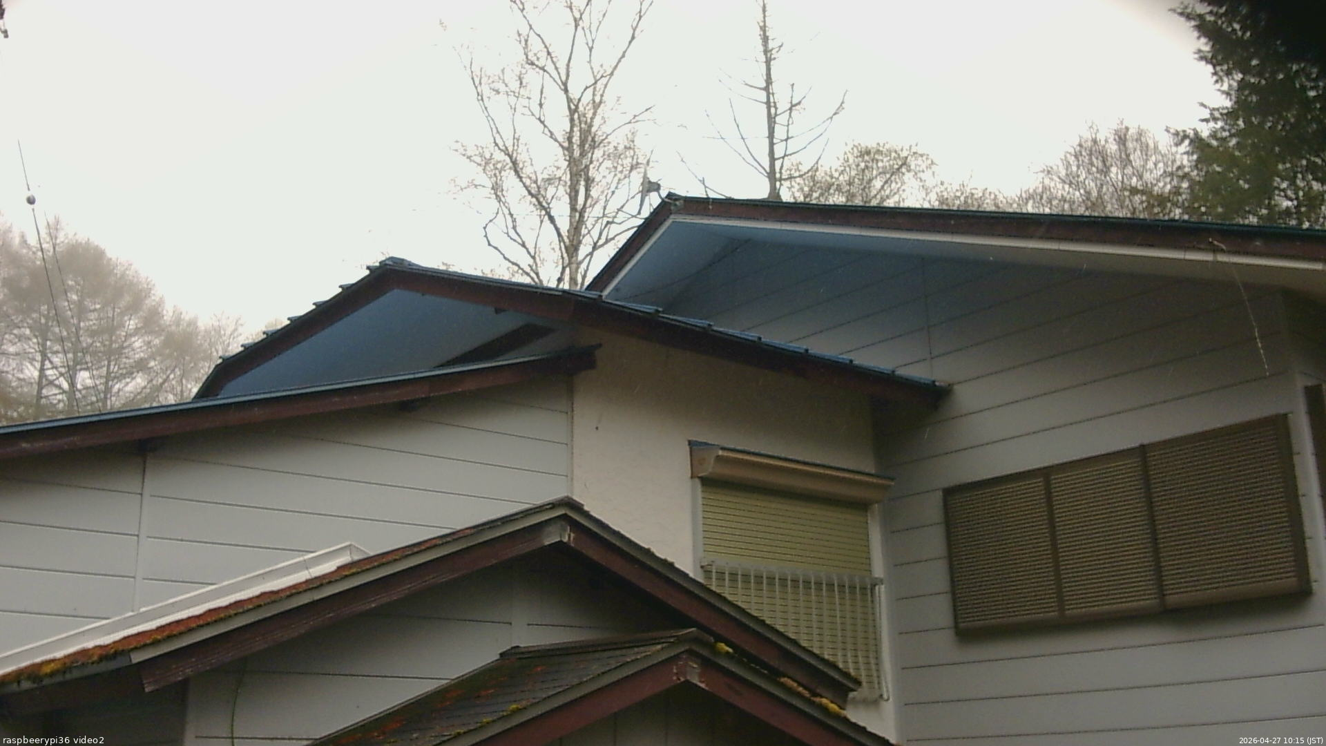 長野県菅平高原 ゆたか山荘 駐車場奥 2026/04/27 10:15