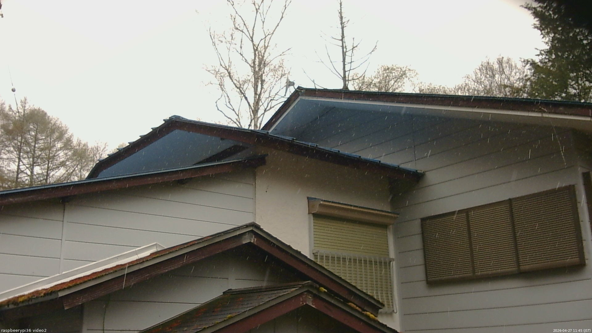 長野県菅平高原 ゆたか山荘 駐車場奥 2026/04/27 11:45