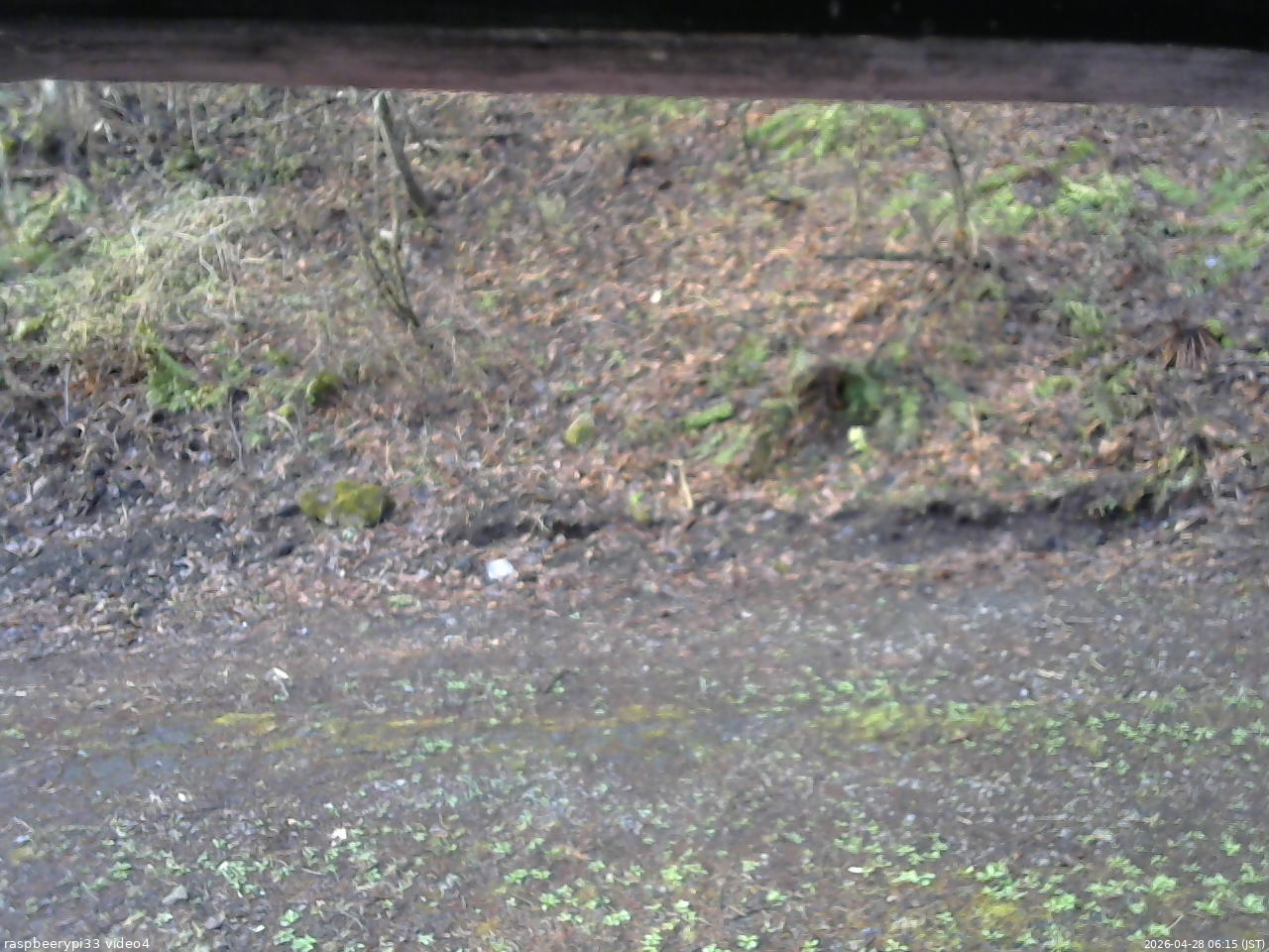 長野県菅平高原 ゆたか山荘 東側(坂下) 2026/04/28 06:15