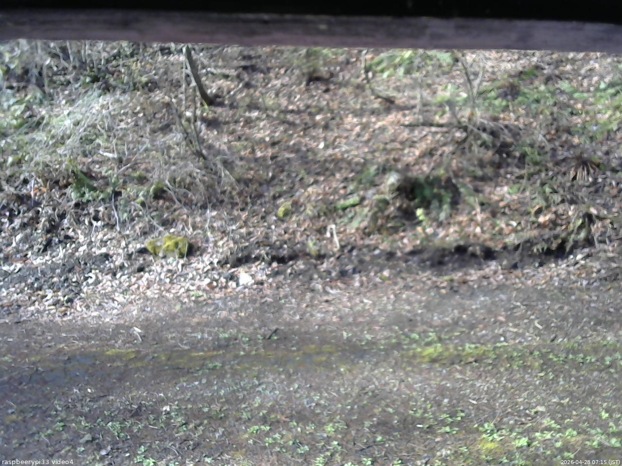 長野県菅平高原 ゆたか山荘 東側(坂下) 2026/04/28 07:15