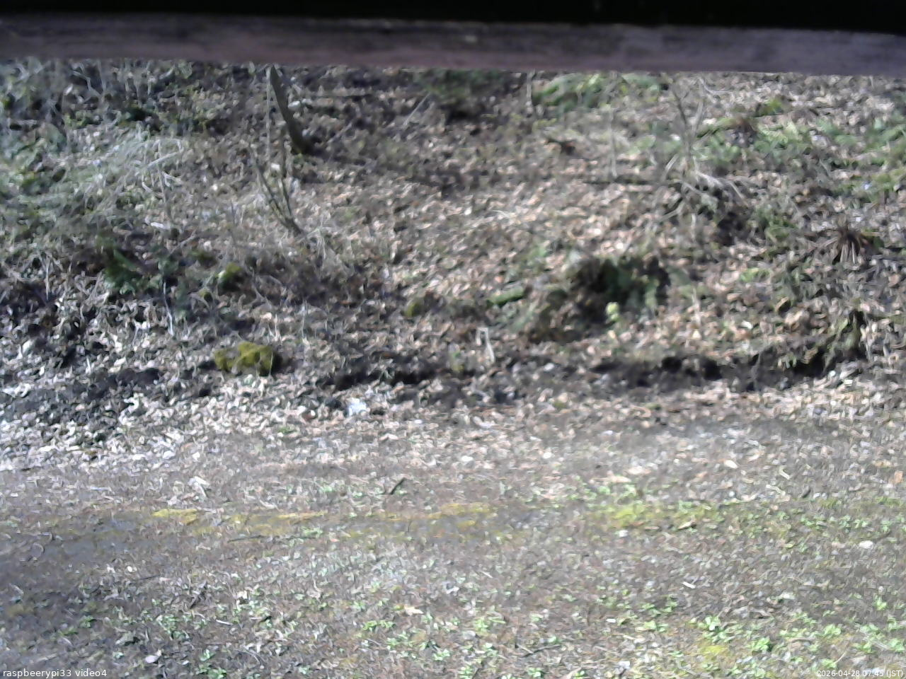 長野県菅平高原 ゆたか山荘 東側(坂下) 2026/04/28 07:45