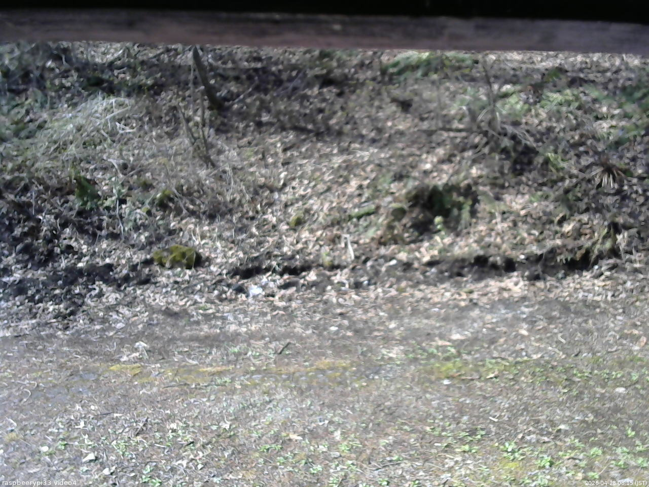 長野県菅平高原 ゆたか山荘 東側(坂下) 2026/04/28 08:15