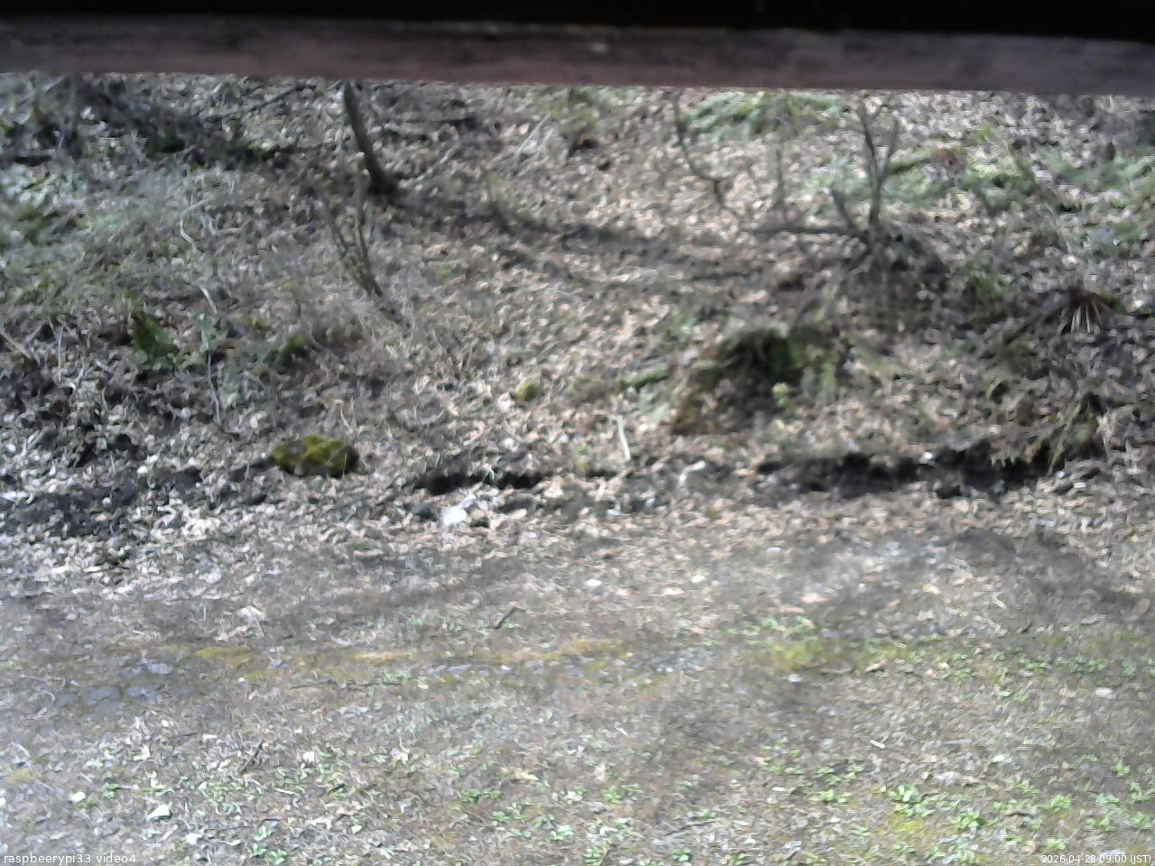 長野県菅平高原 ゆたか山荘 東側(坂下) 2026/04/28 09:00