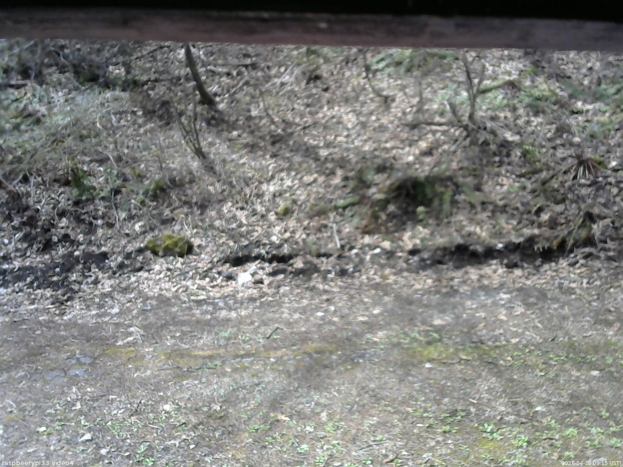 長野県菅平高原 ゆたか山荘 東側(坂下) 2026/04/28 09:15