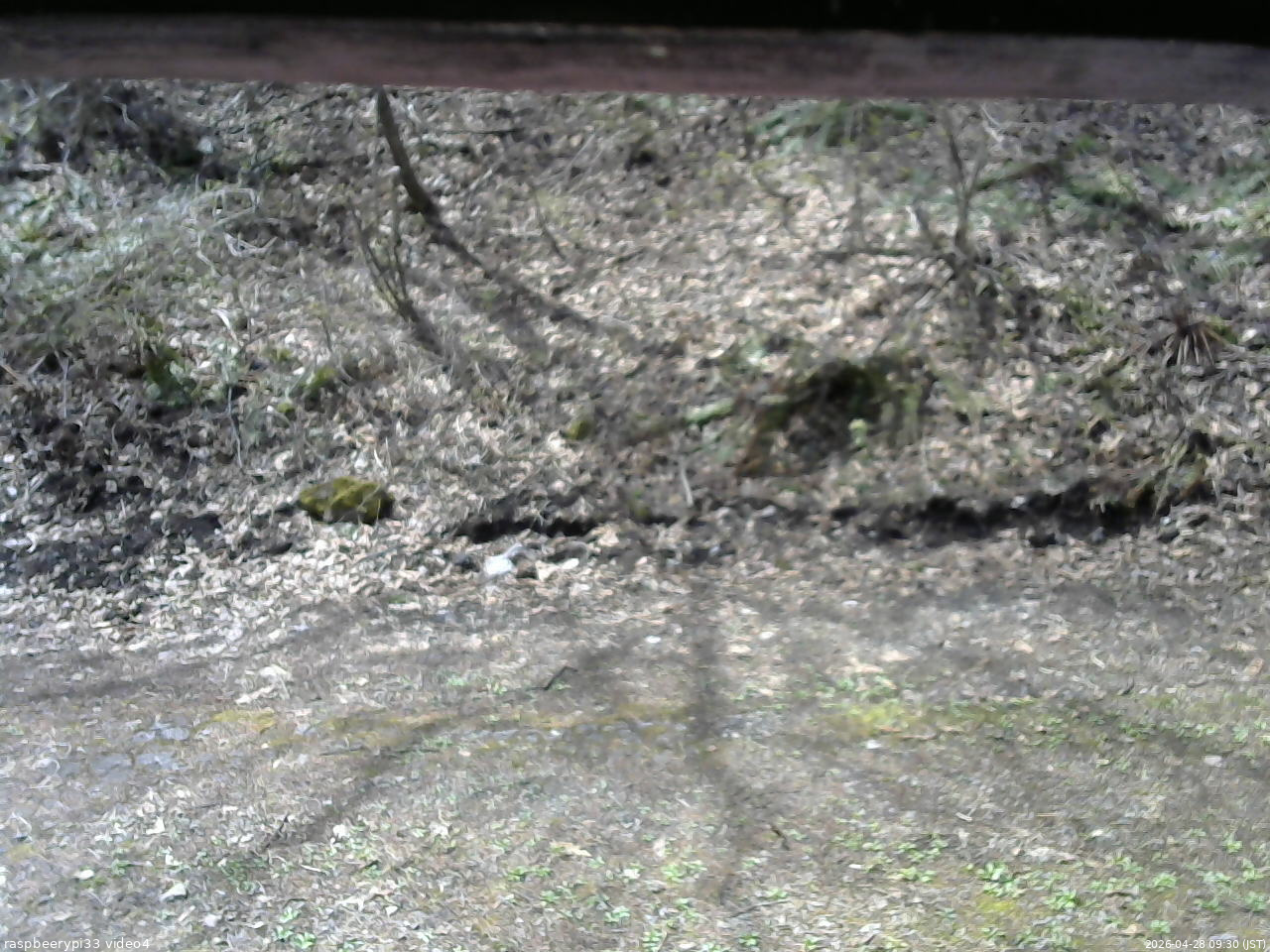 長野県菅平高原 ゆたか山荘 東側(坂下) 2026/04/28 09:30